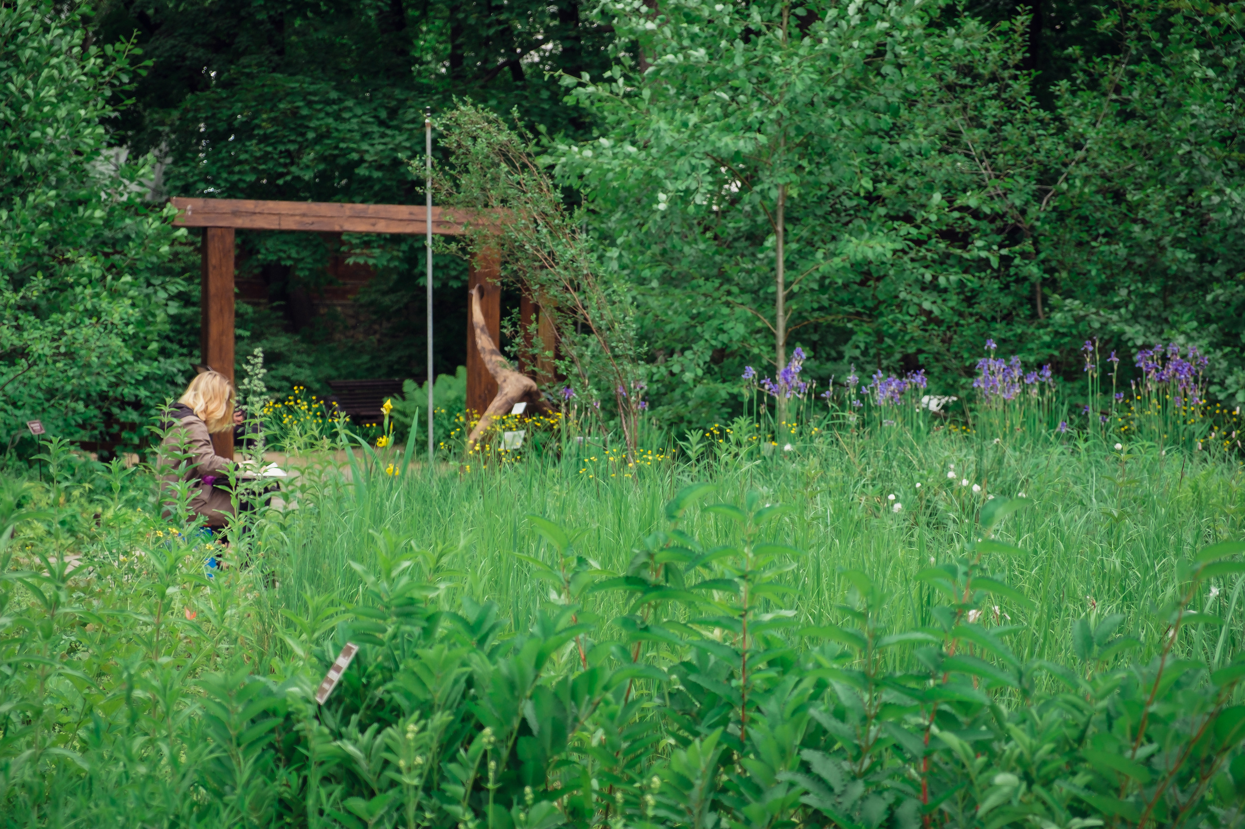 Аптекарский огород. Видеограф и фотограф на свадьбу в Москве