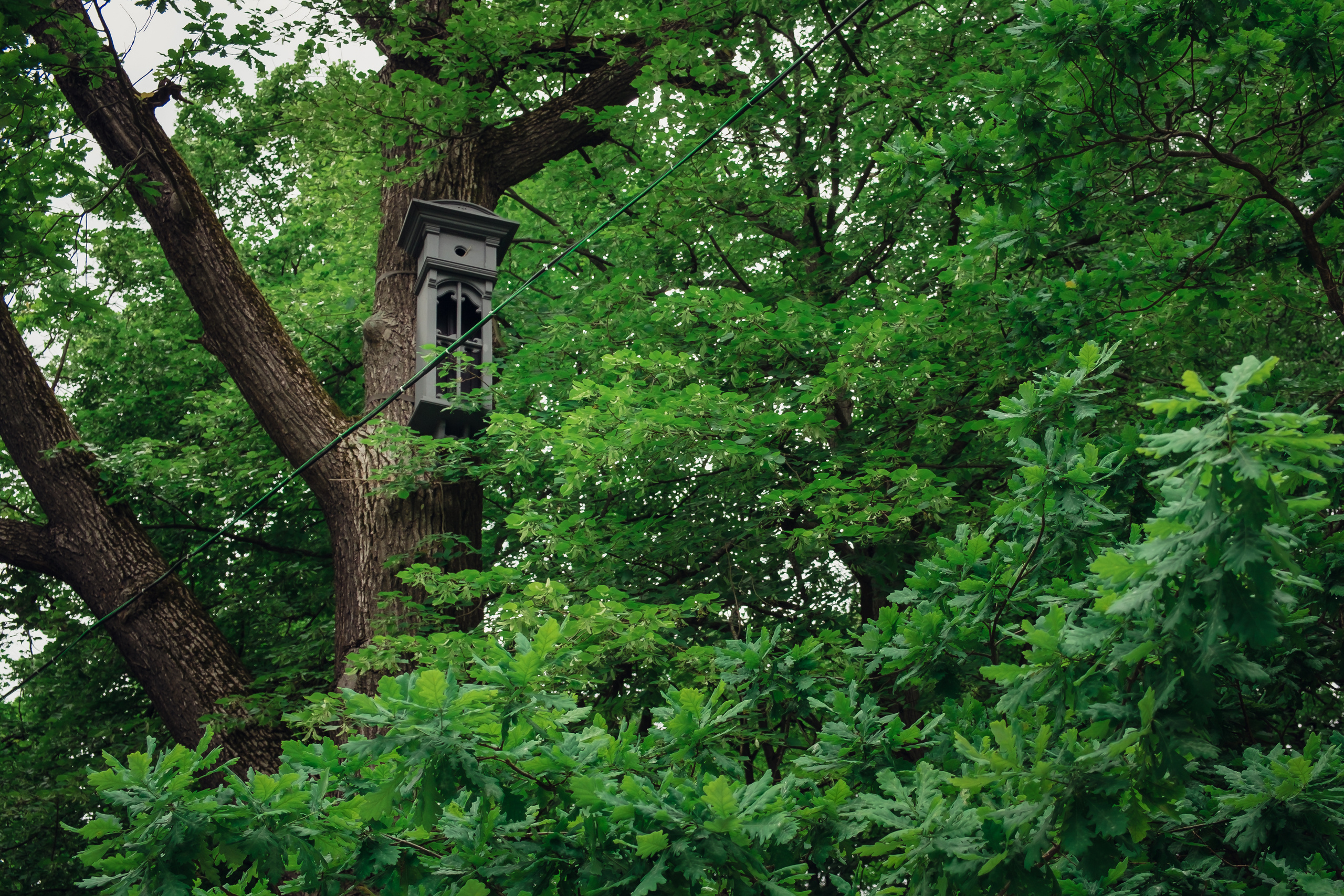 Усадьба останкино. Видеограф и фотограф на свадьбу в Москве