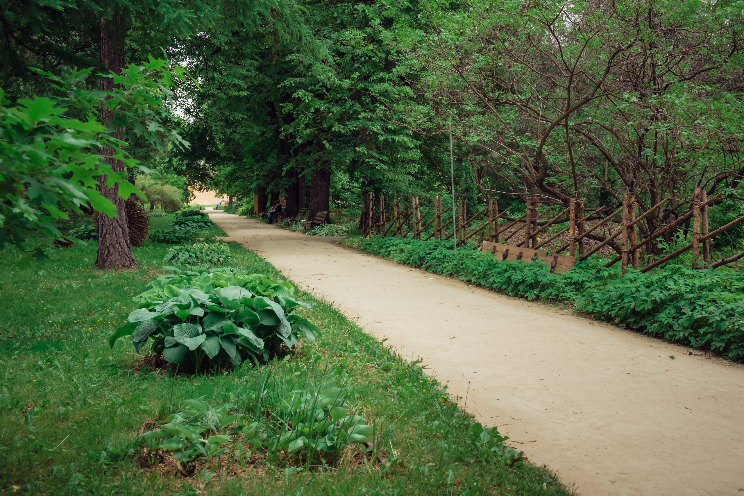 Аптекарский огород. Видеограф и фотограф на свадьбу в Москве