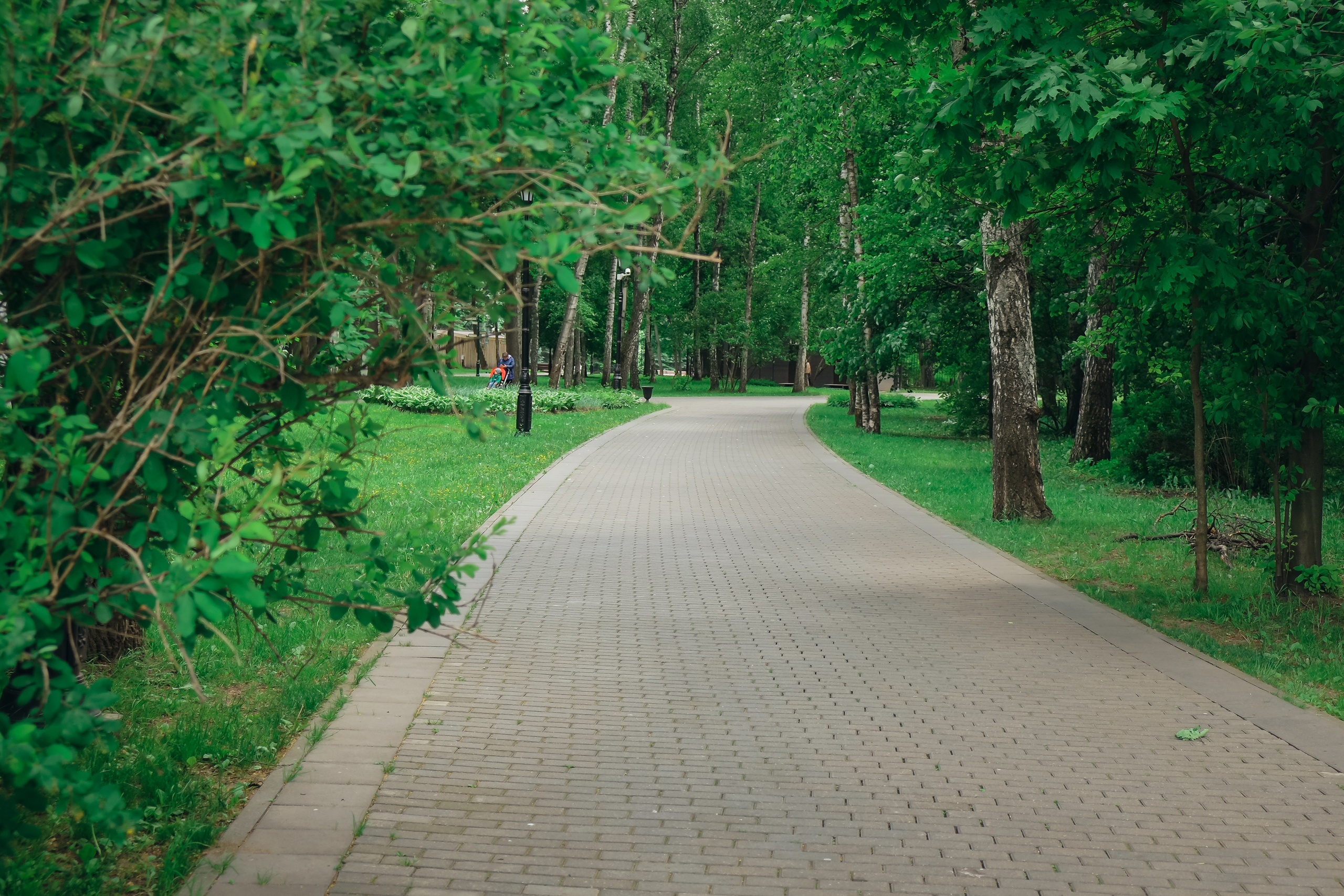 Усадьба останкино. Видеограф и фотограф на свадьбу в Москве