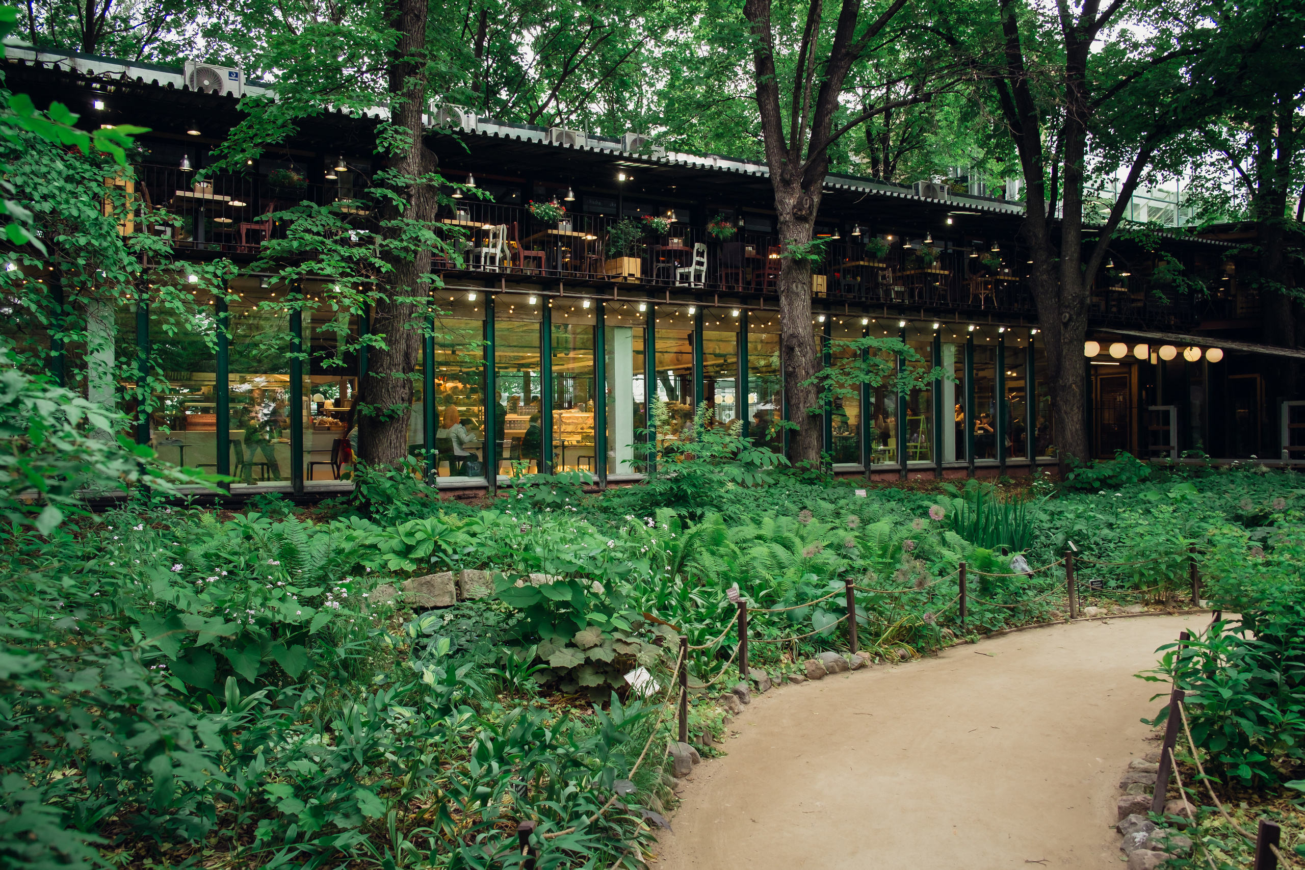 Аптекарский огород. Видеограф и фотограф на свадьбу в Москве