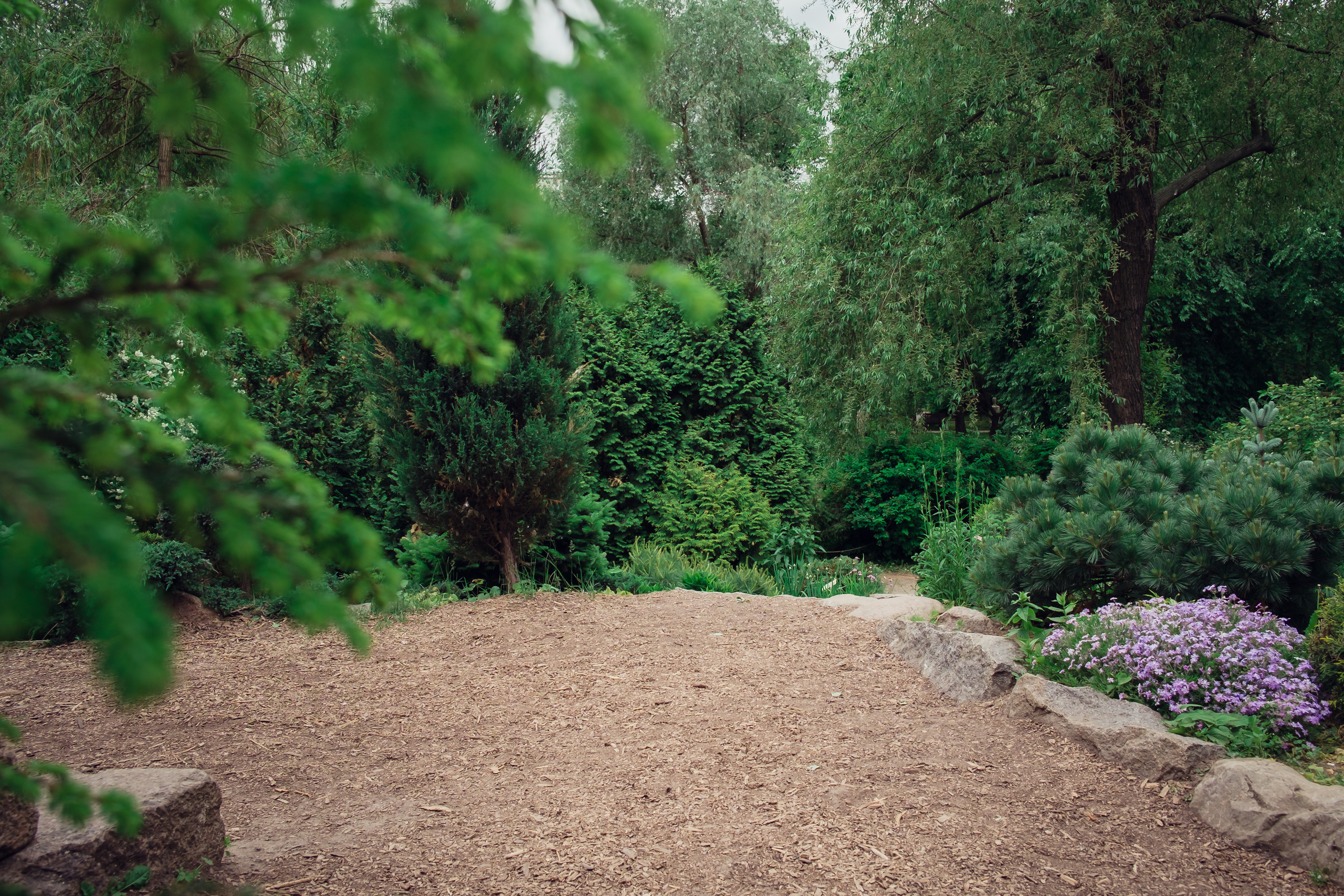 Аптекарский огород. Видеограф и фотограф на свадьбу в Москве