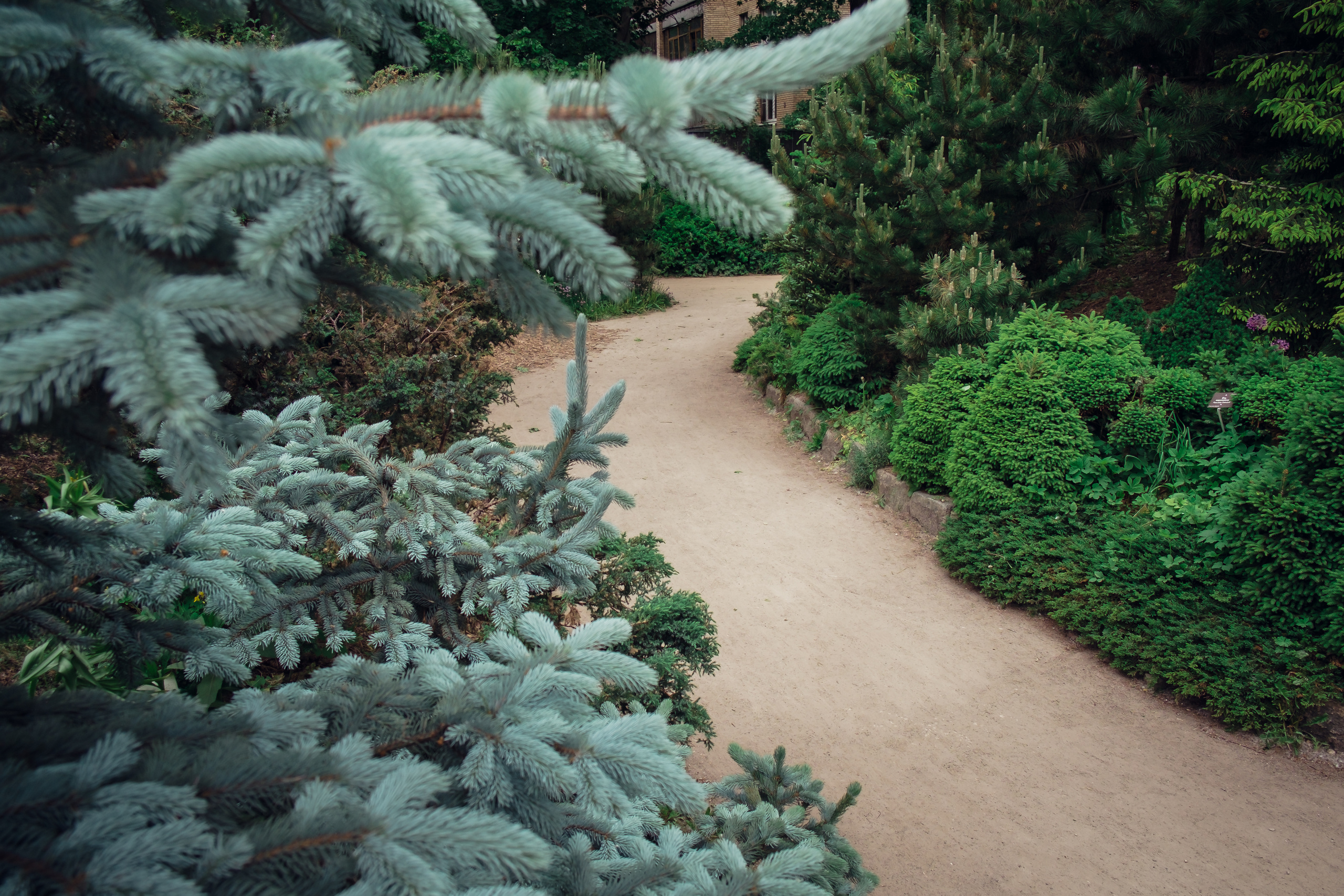Аптекарский огород. Видеограф и фотограф на свадьбу в Москве