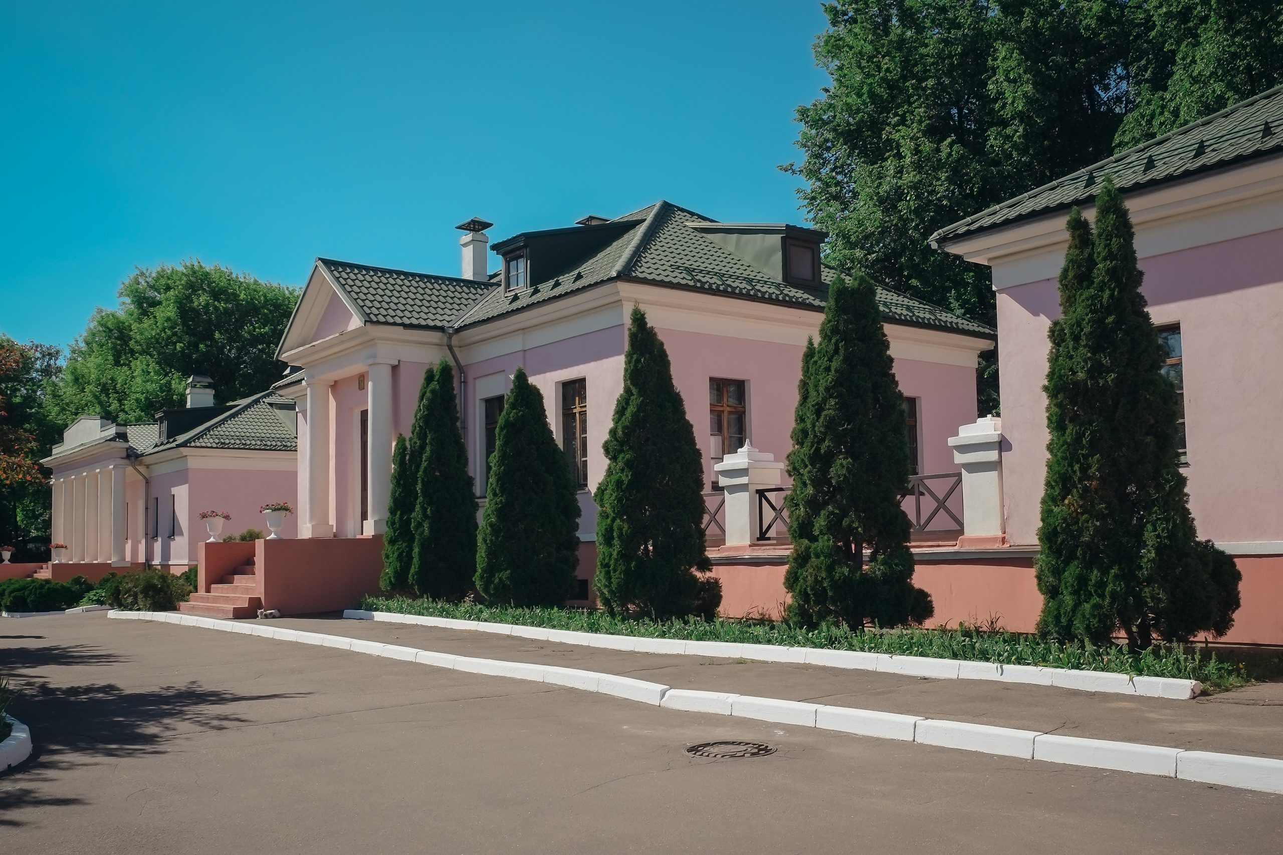 Усадьба останкино. Видеограф и фотограф на свадьбу в Москве