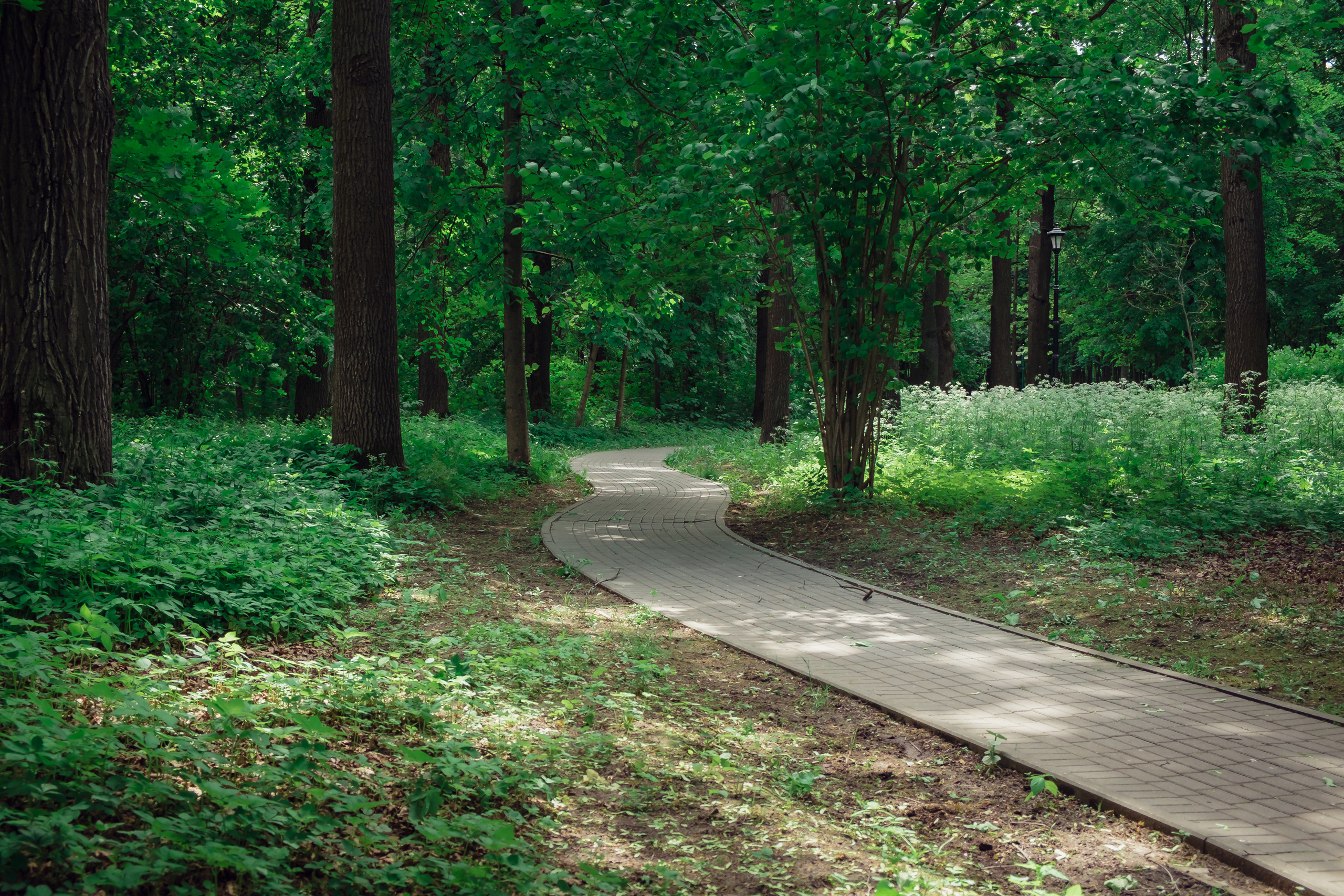 Усадьба останкино. Видеограф и фотограф на свадьбу в Москве