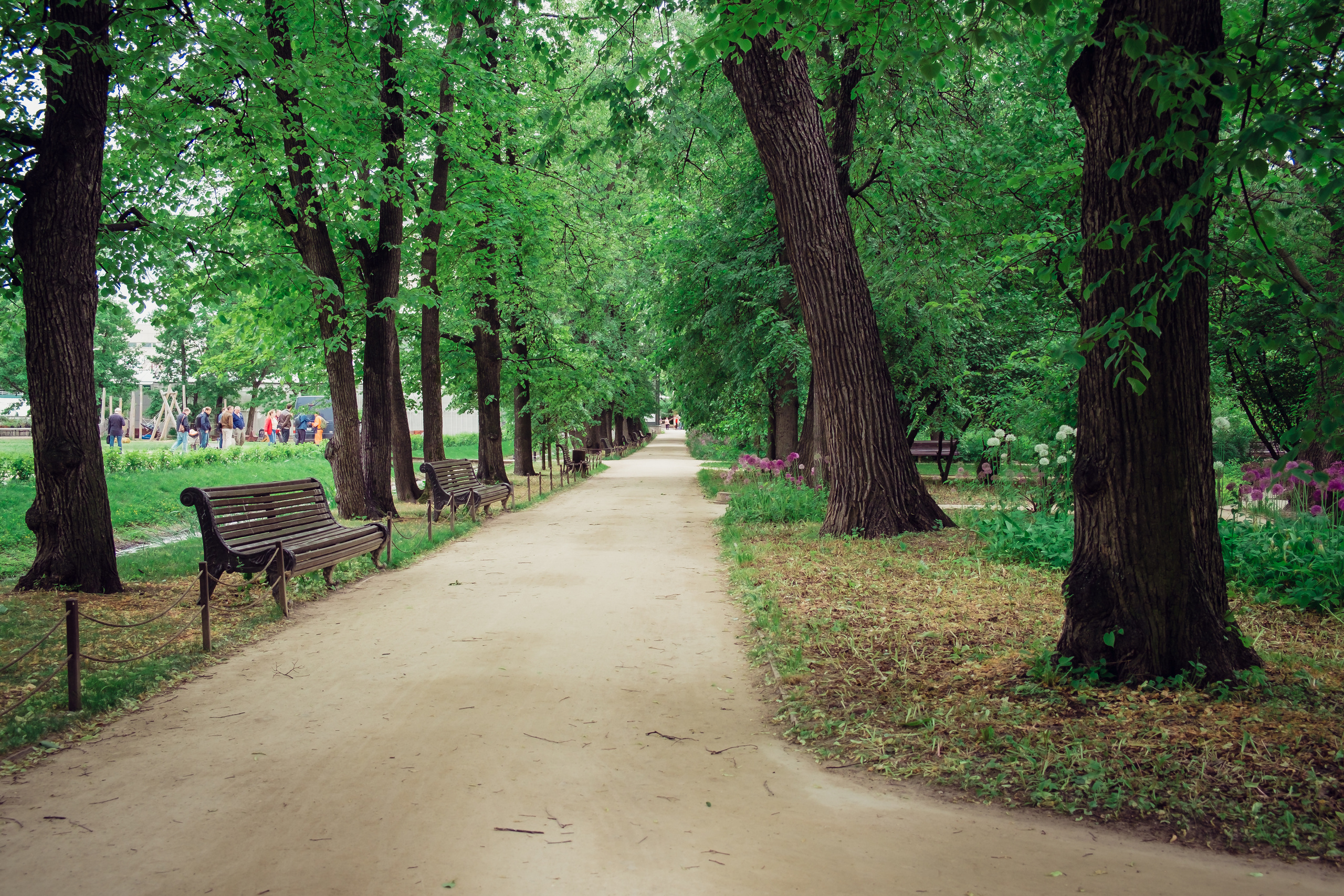Аптекарский огород. Видеограф и фотограф на свадьбу в Москве