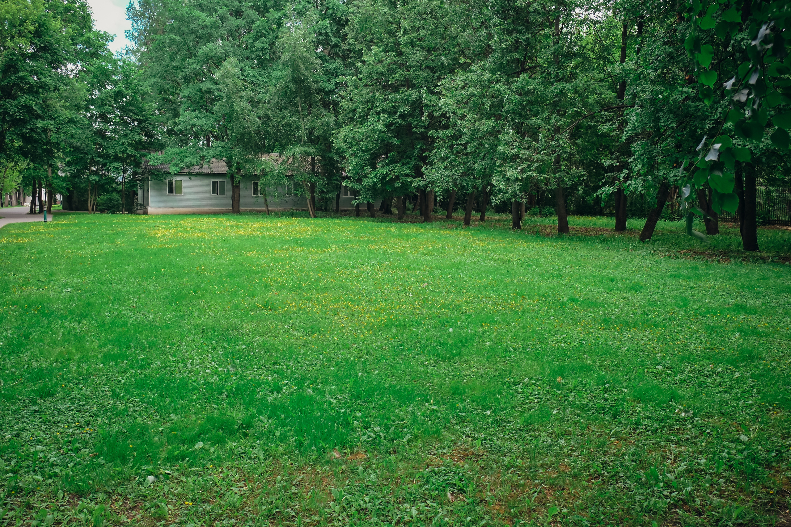 Усадьба останкино. Видеограф и фотограф на свадьбу в Москве