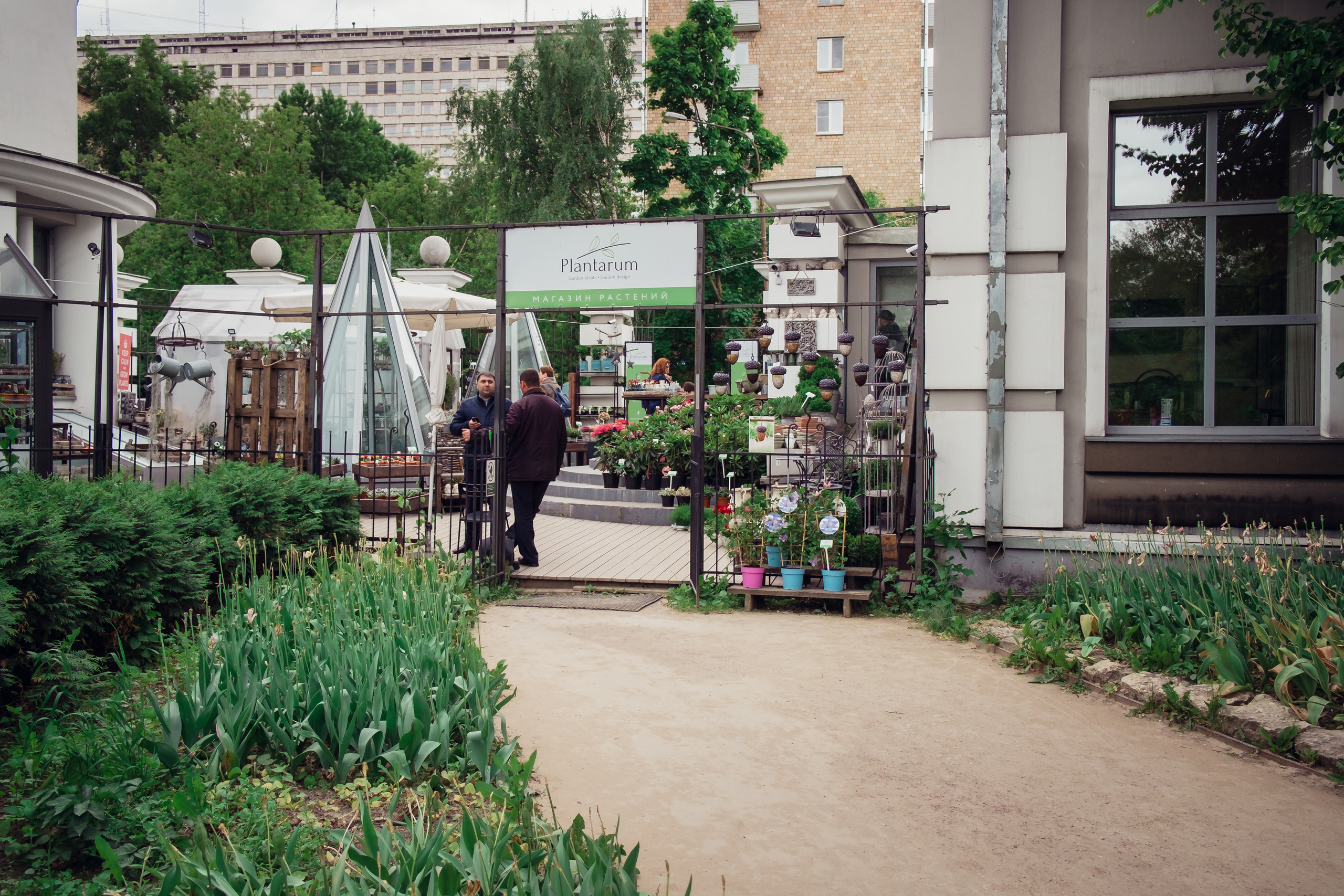 Аптекарский огород. Видеограф и фотограф на свадьбу в Москве