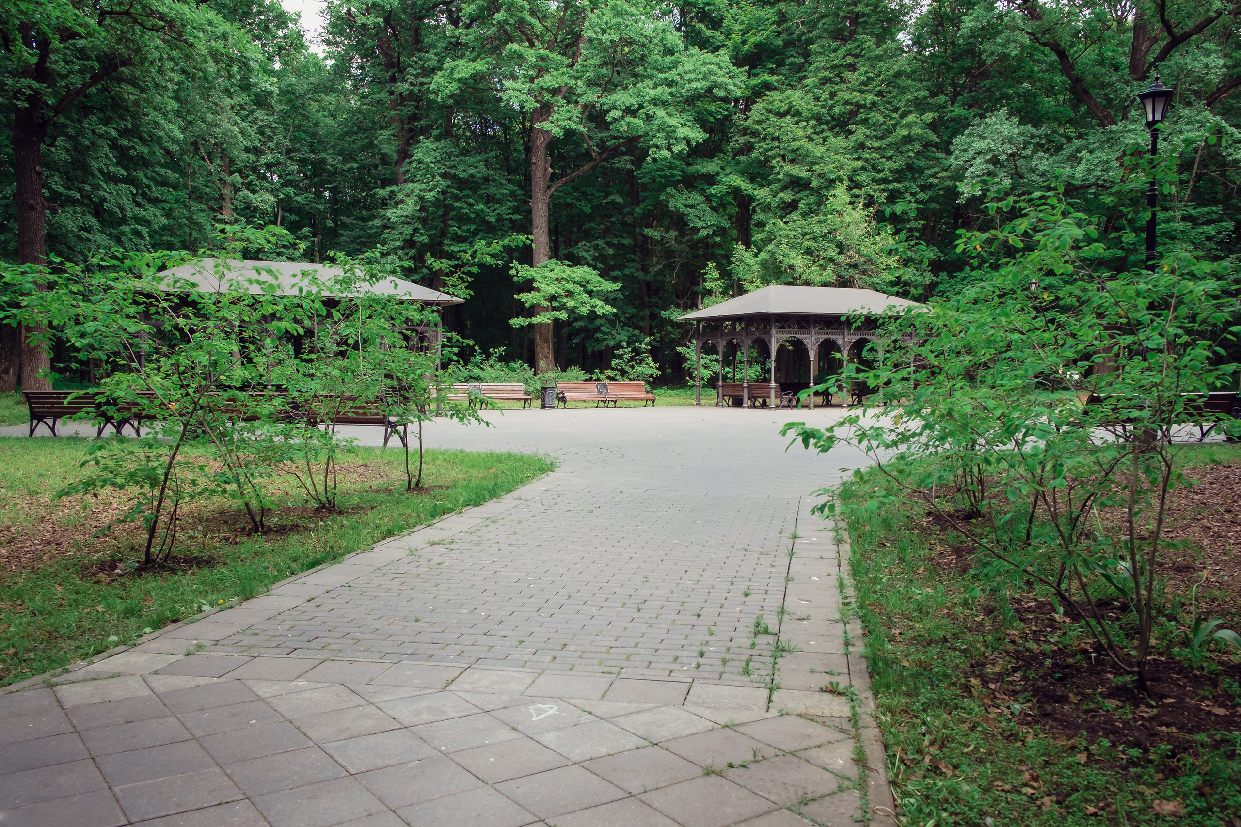 Усадьба останкино. Видеограф и фотограф на свадьбу в Москве