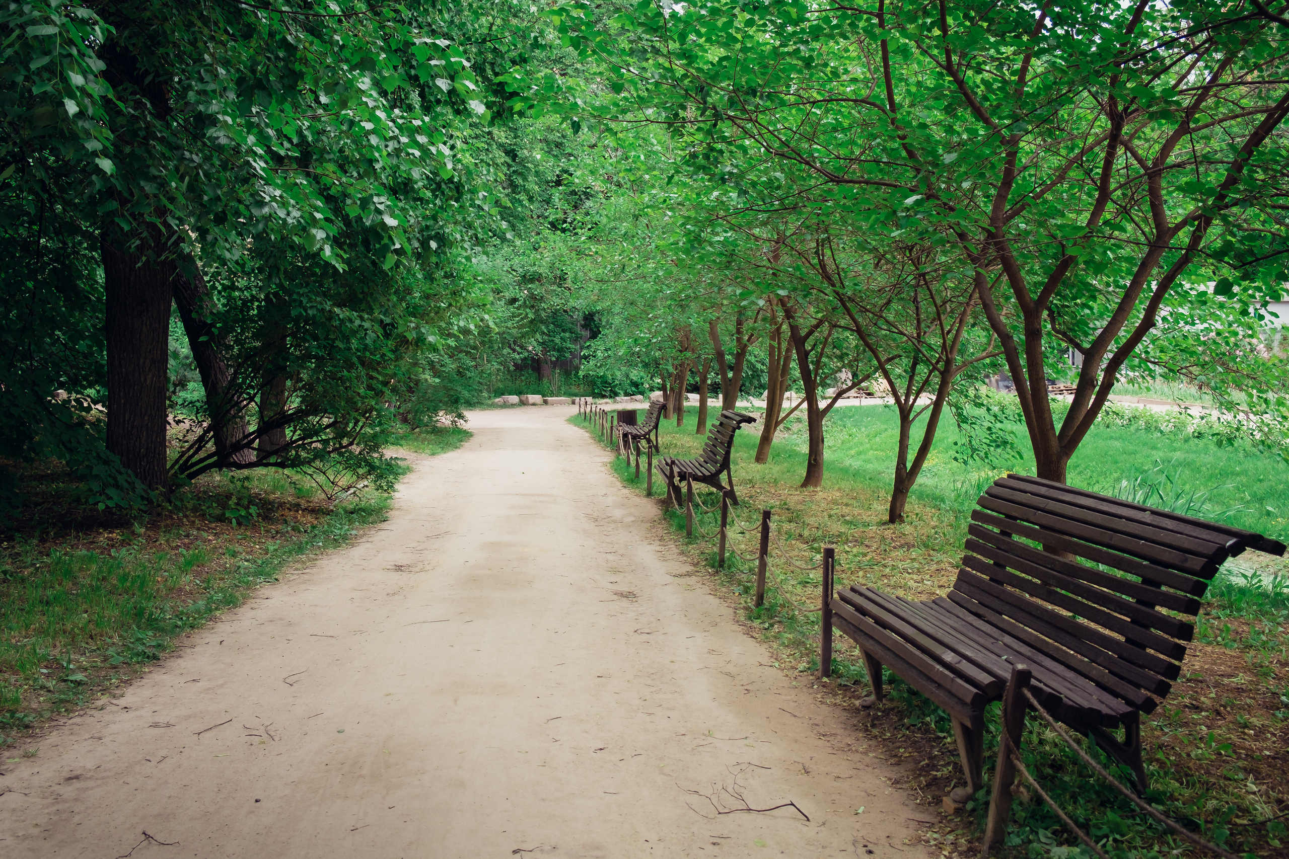 Аптекарский огород. Видеограф и фотограф на свадьбу в Москве