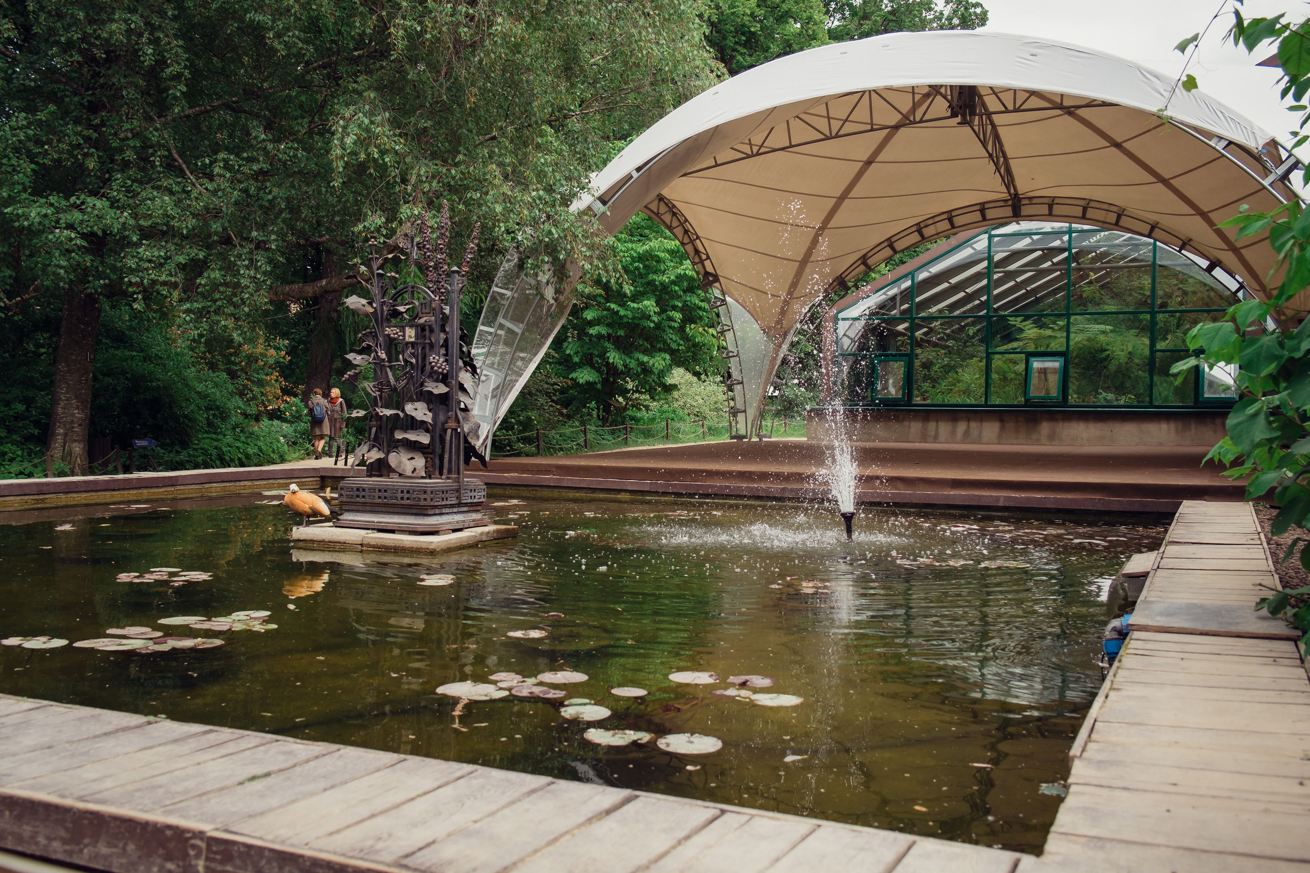 Аптекарский огород. Видеограф и фотограф на свадьбу в Москве