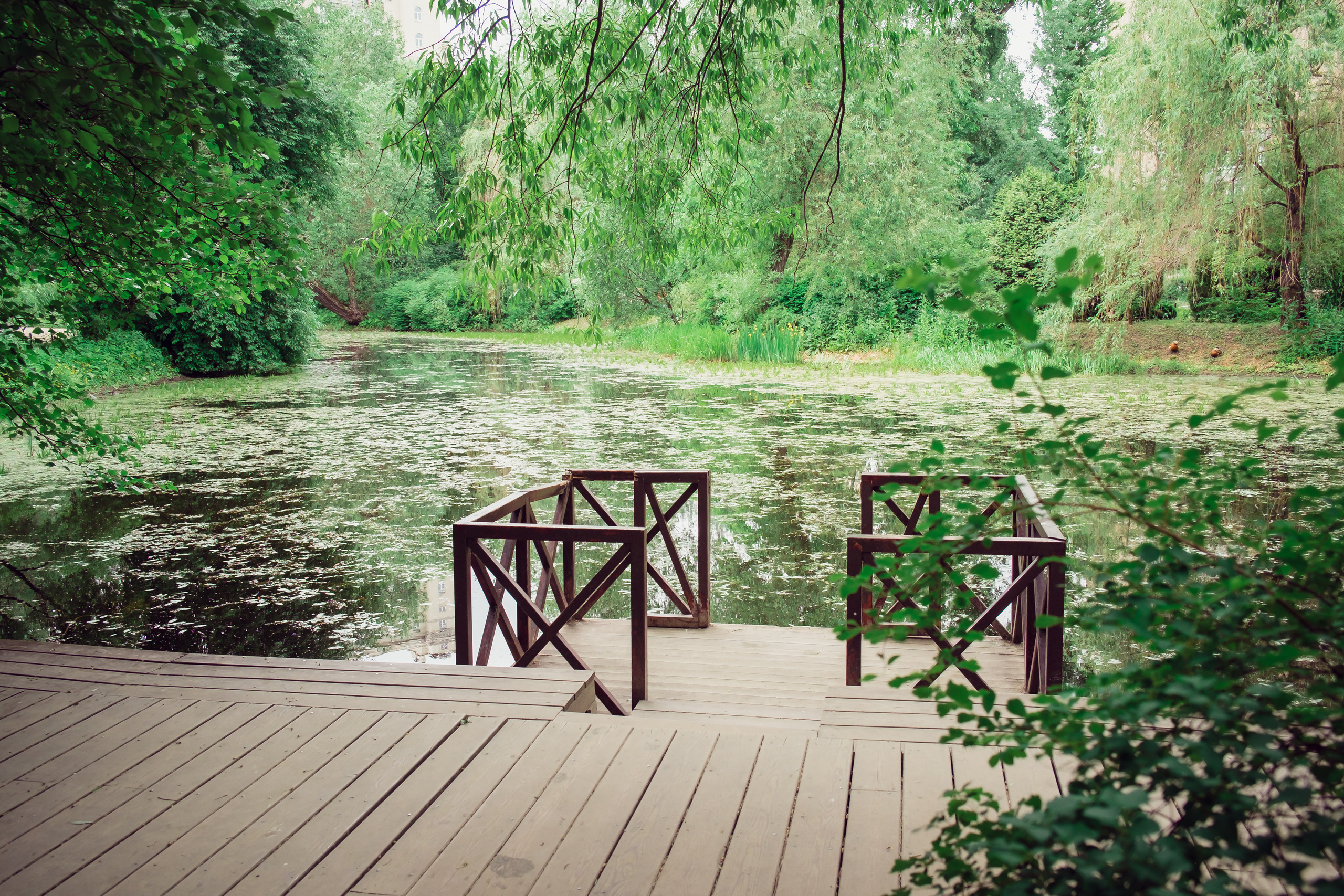 Аптекарский огород. Видеограф и фотограф на свадьбу в Москве