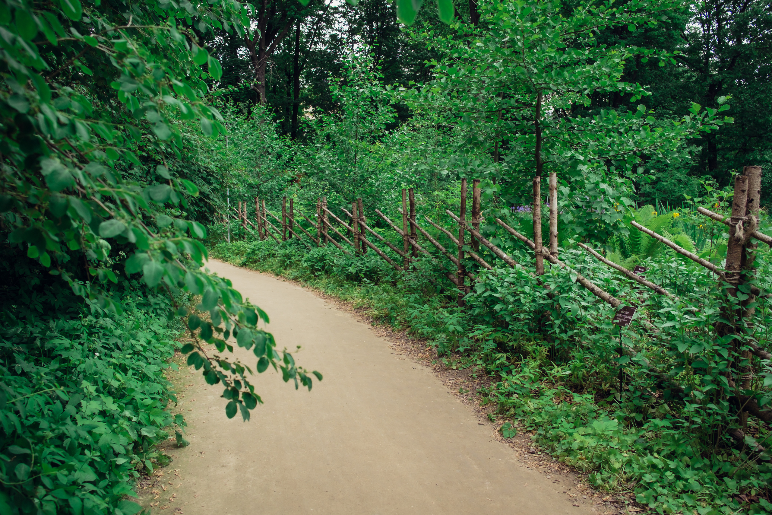Аптекарский огород. Видеограф и фотограф на свадьбу в Москве