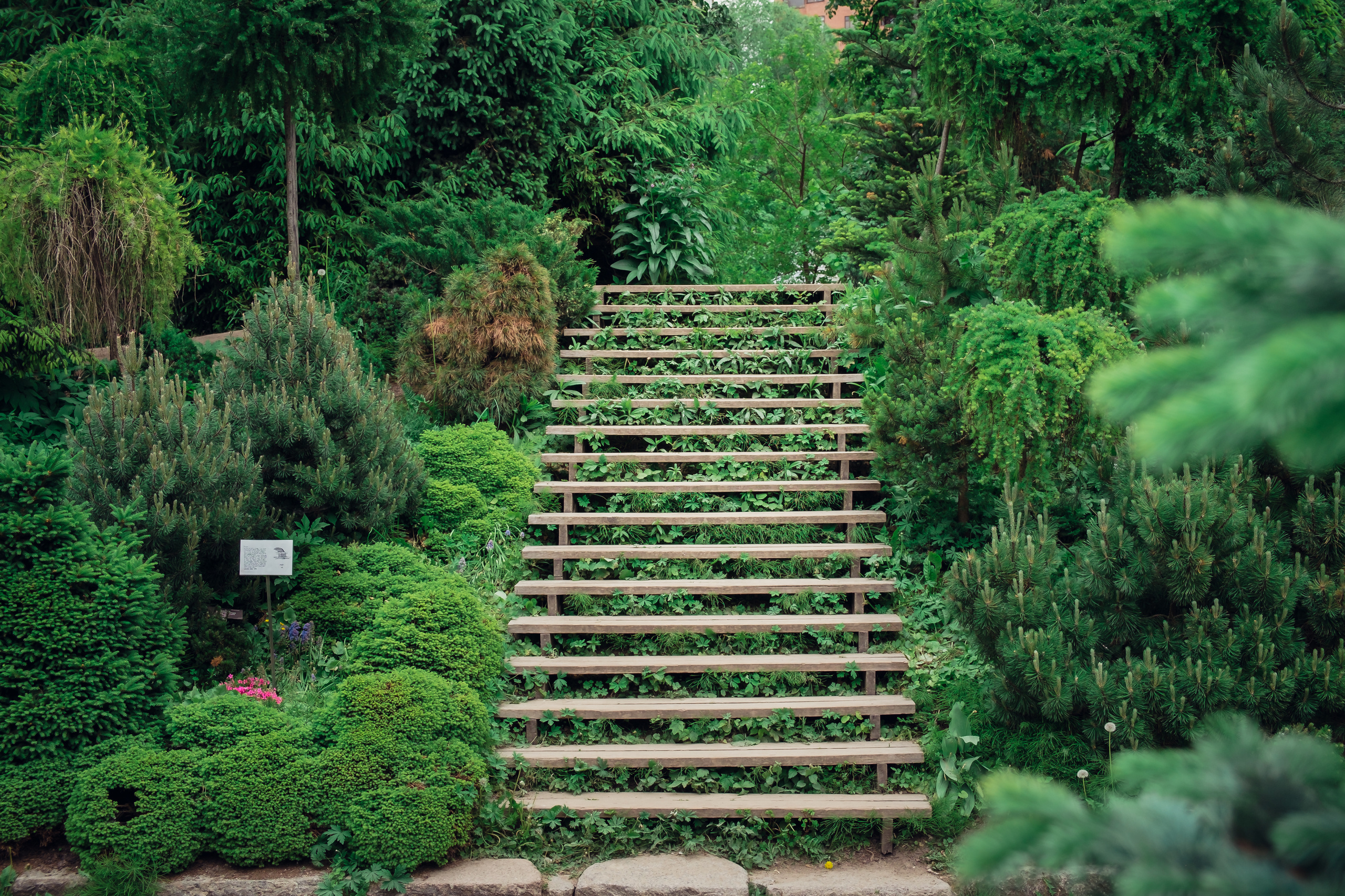 Аптекарский огород. Видеограф и фотограф на свадьбу в Москве