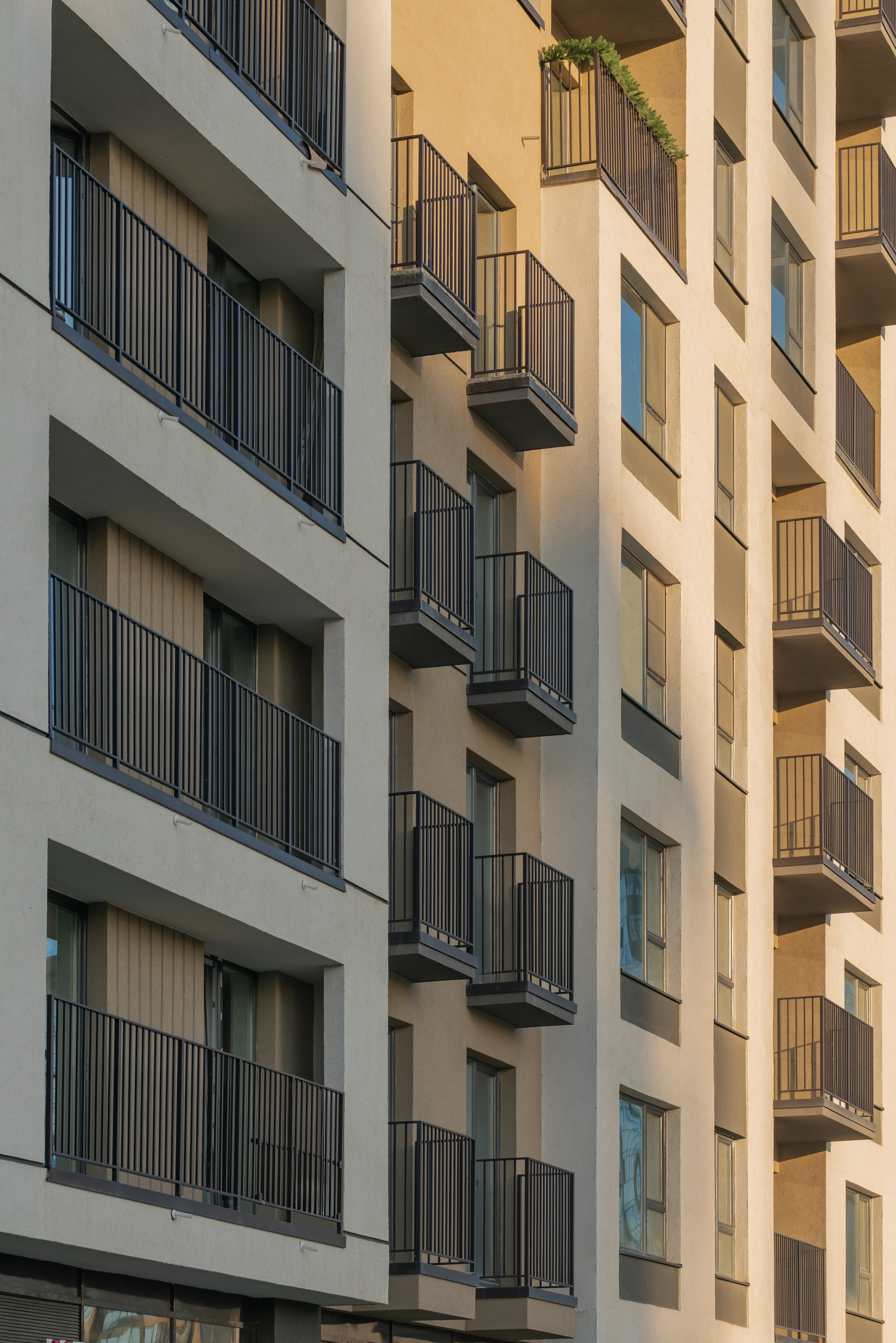 На Академическом | Брусника. Архитектурный фотограф Кирилл Цыбенко. Работаю в Москве, по всей России и Миру