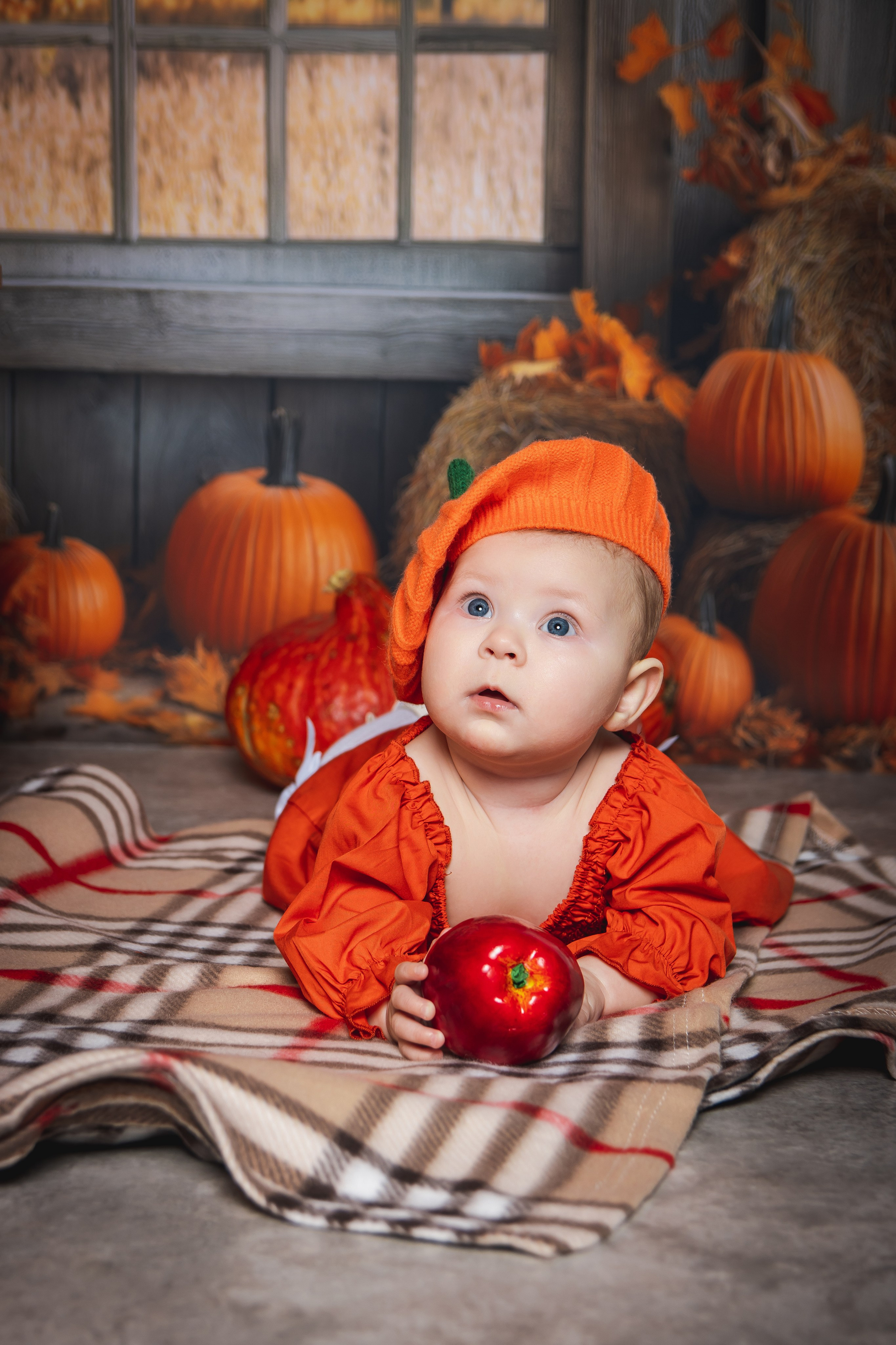 ФОТКИ! Экспресс-фотосессии в Обнинске