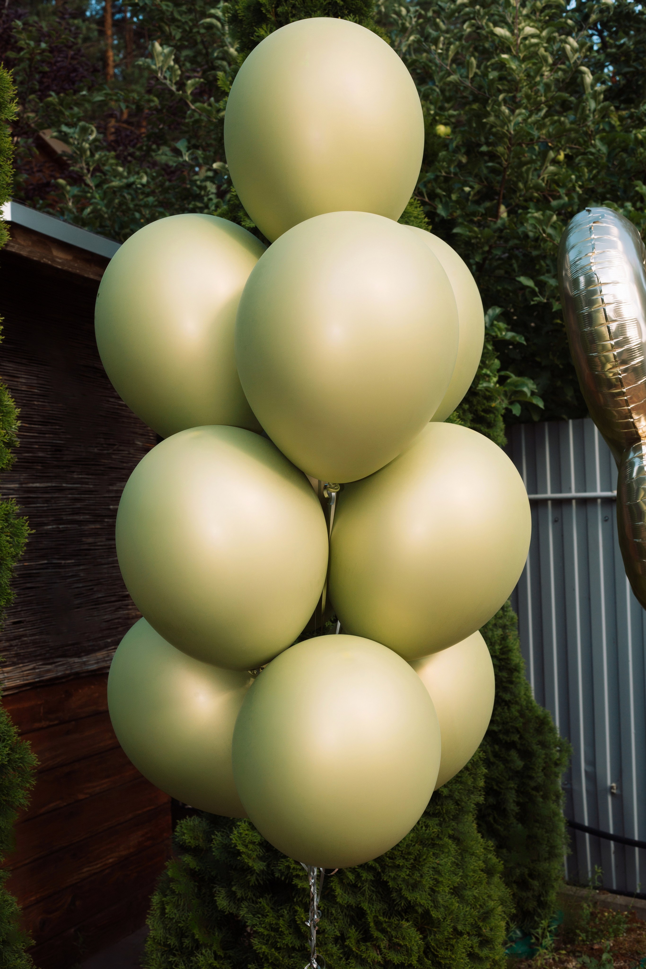 18 лет. Вера Соколова фотограф Воронеж