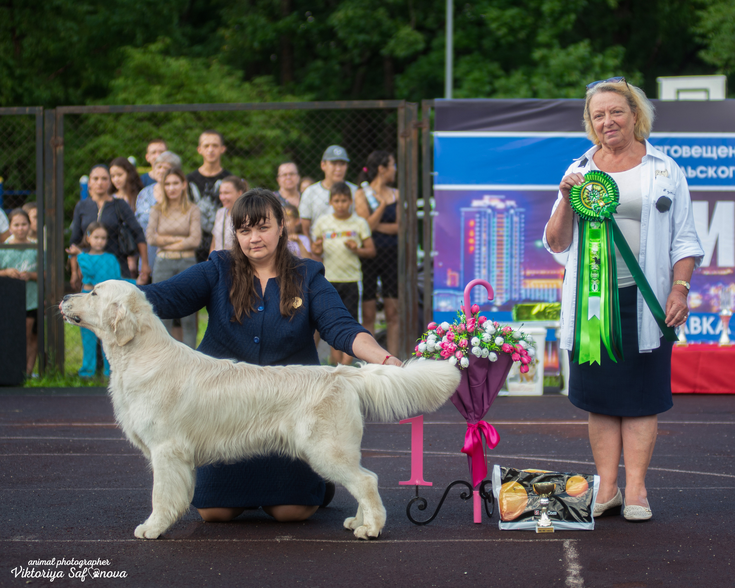 13–14 августа 2022. Благовещенск. Фотограф анималист Благовещенск. Сафонова Виктория