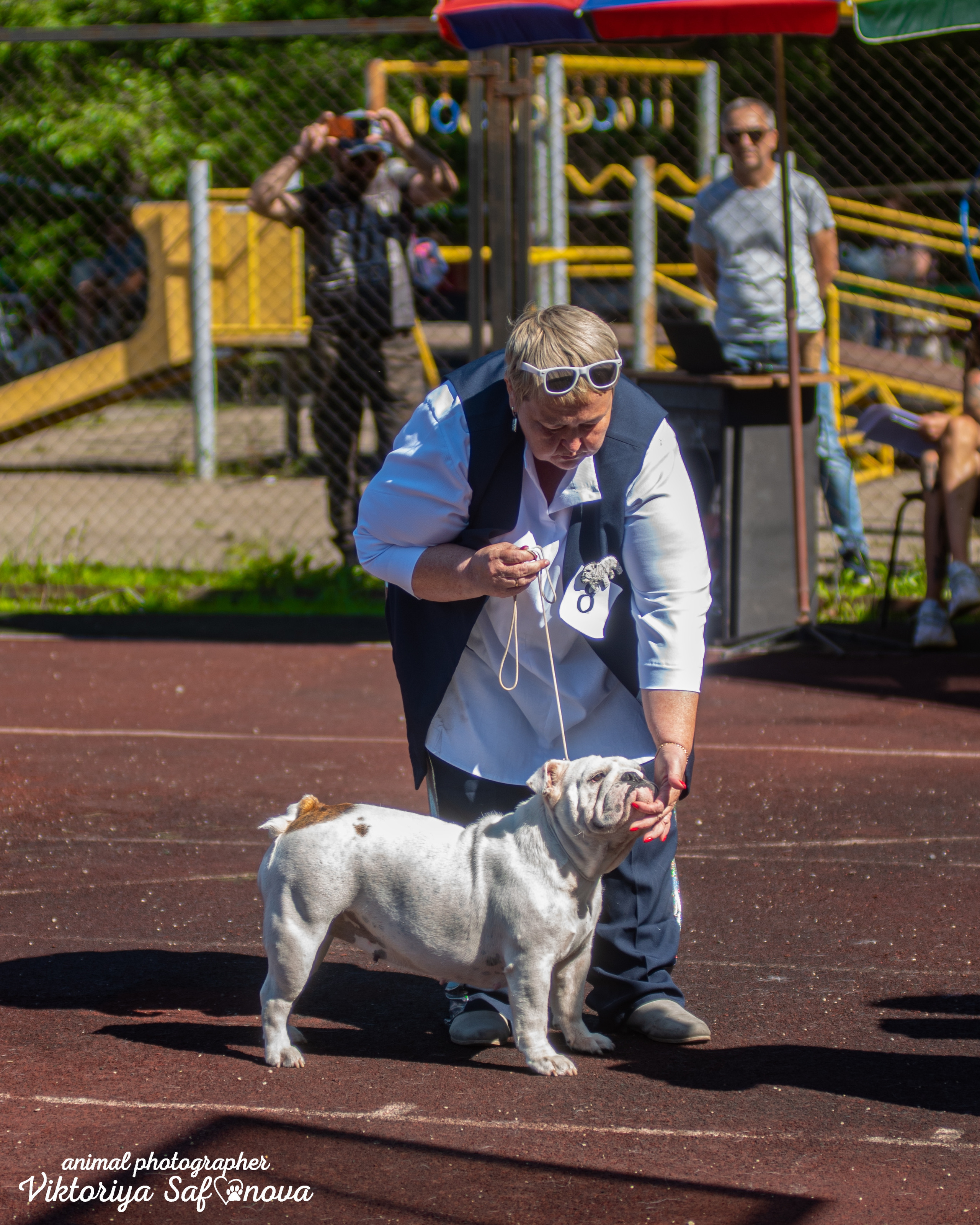 13–14 августа 2022. Благовещенск. Фотограф анималист Благовещенск. Сафонова Виктория