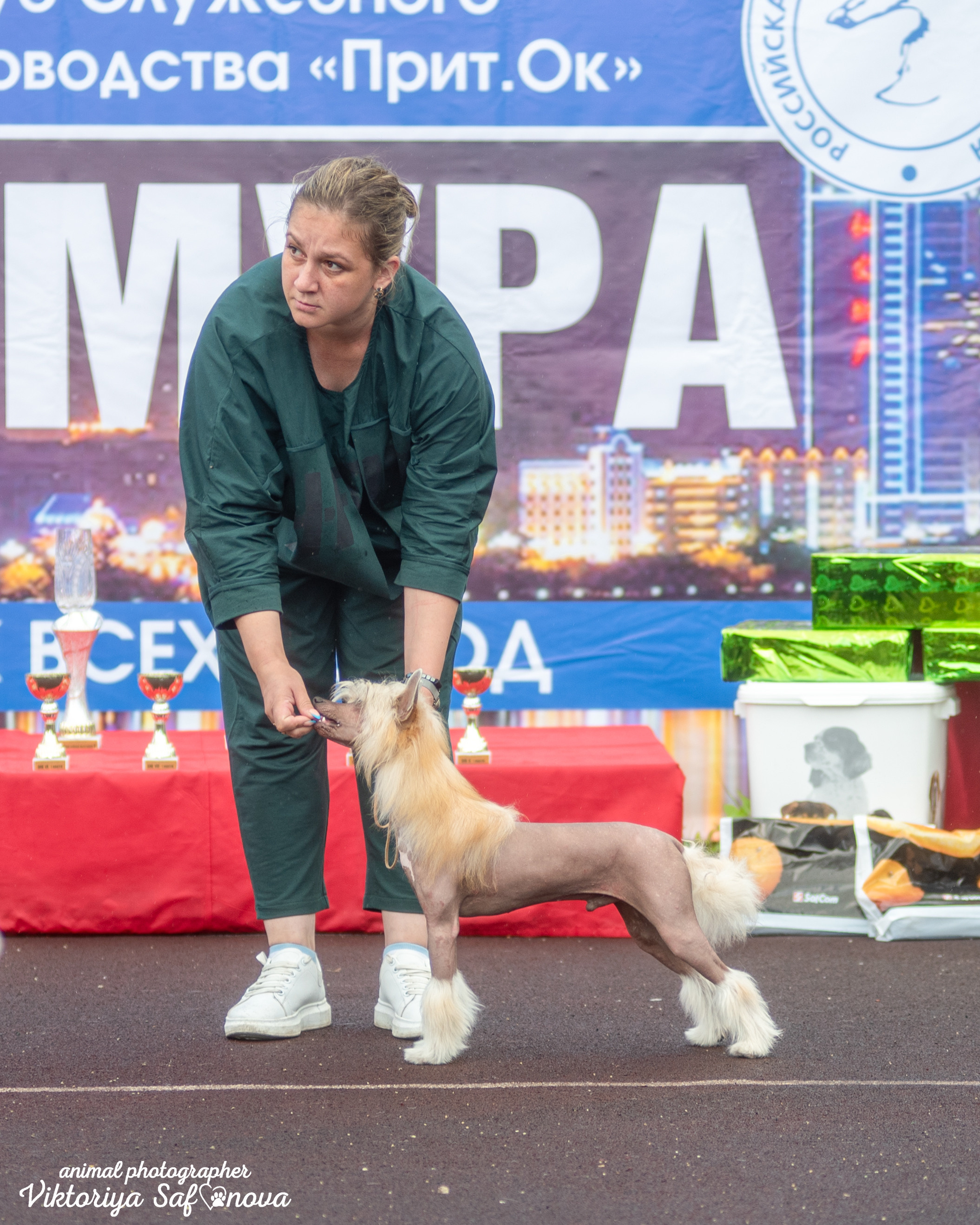 13–14 августа 2022. Благовещенск. Фотограф анималист Благовещенск. Сафонова Виктория