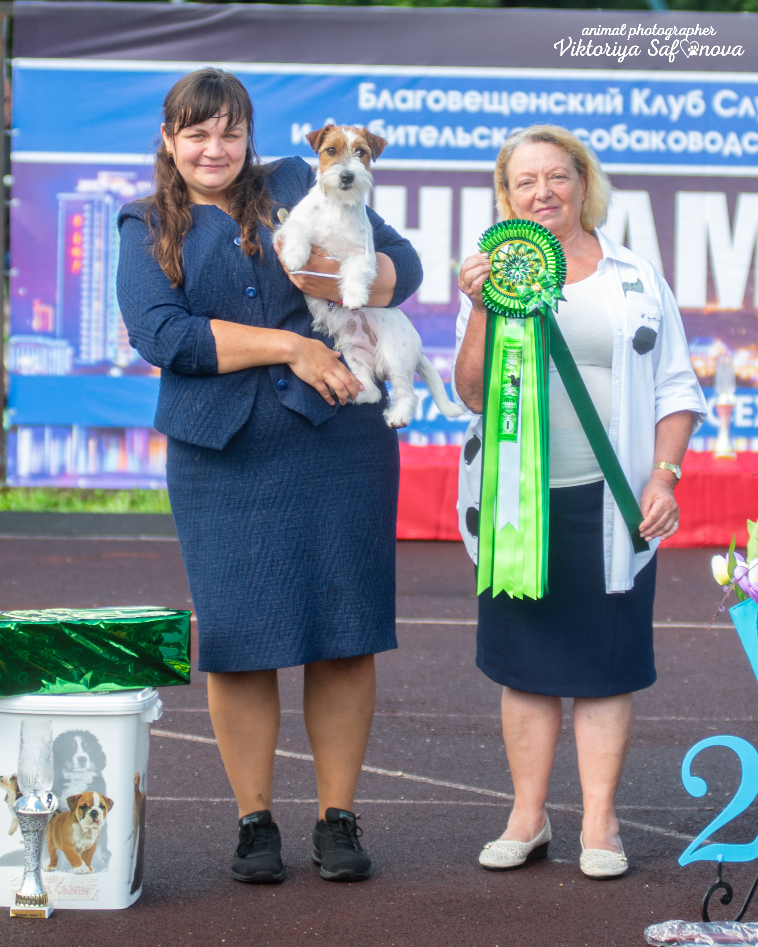 13–14 августа 2022. Благовещенск. Фотограф анималист Благовещенск. Сафонова Виктория