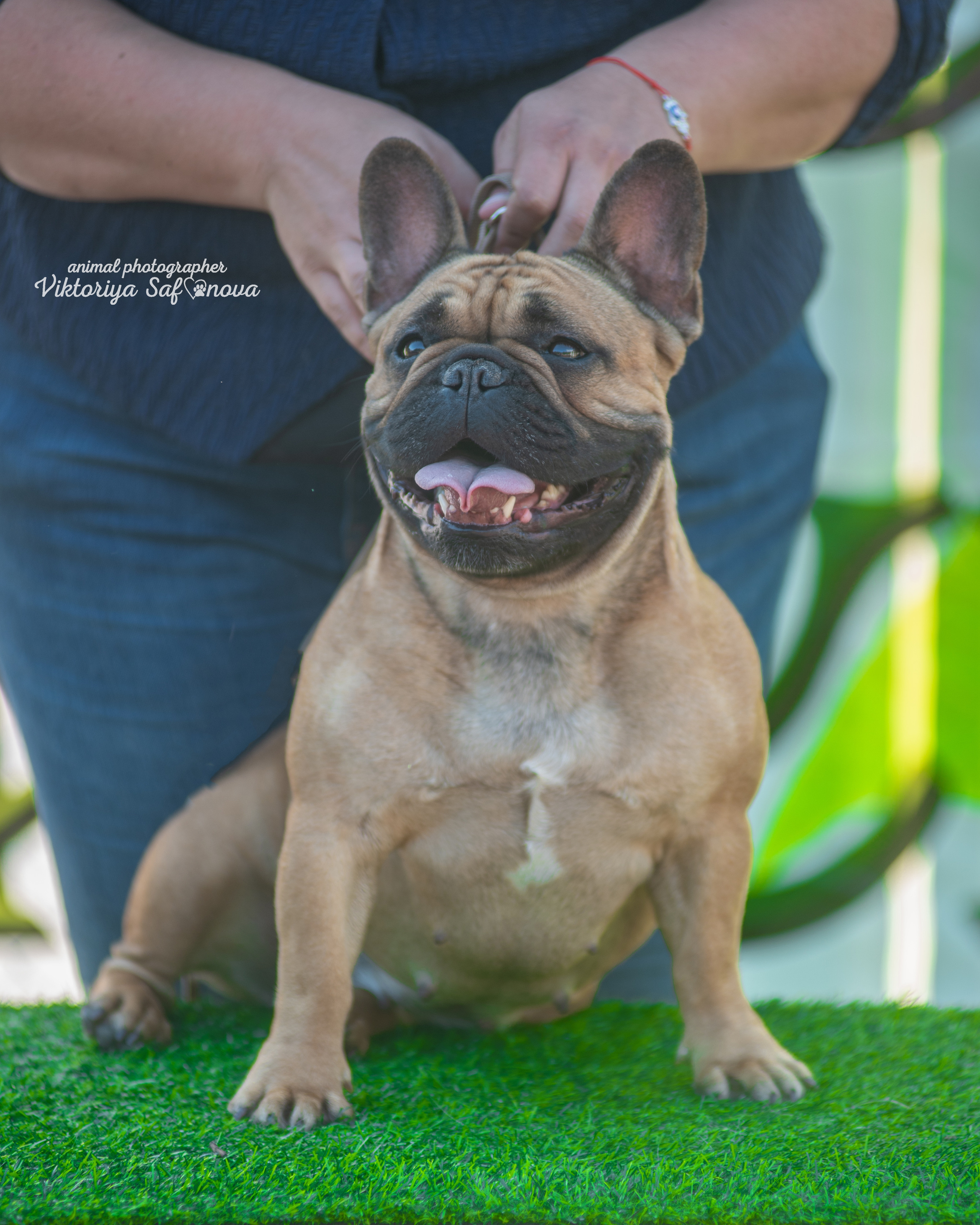 13–14 августа 2022. Благовещенск. Фотограф анималист Благовещенск. Сафонова Виктория