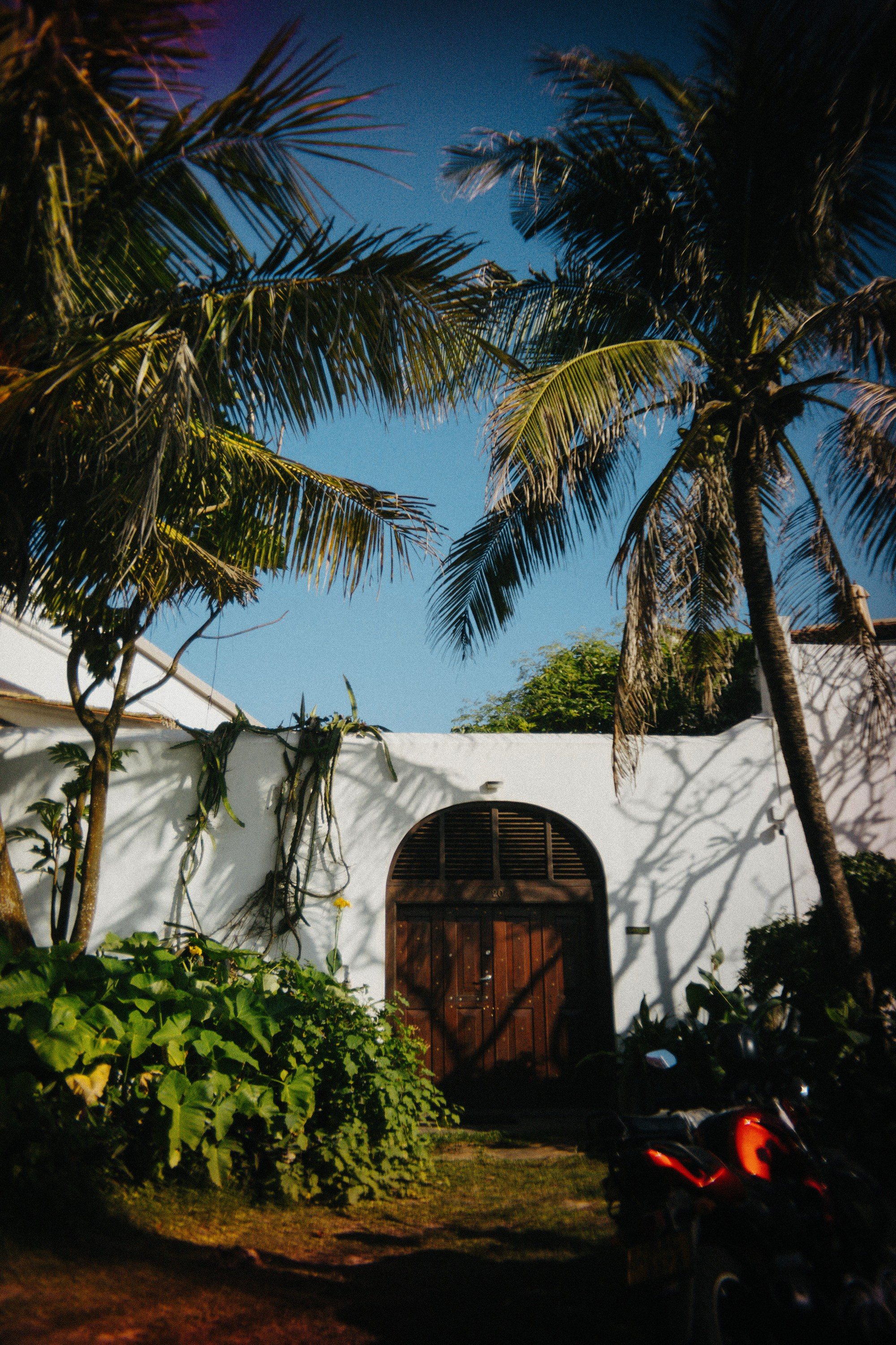 Шри + Бангкок. Фотограф Тбилиси Саша Мороз