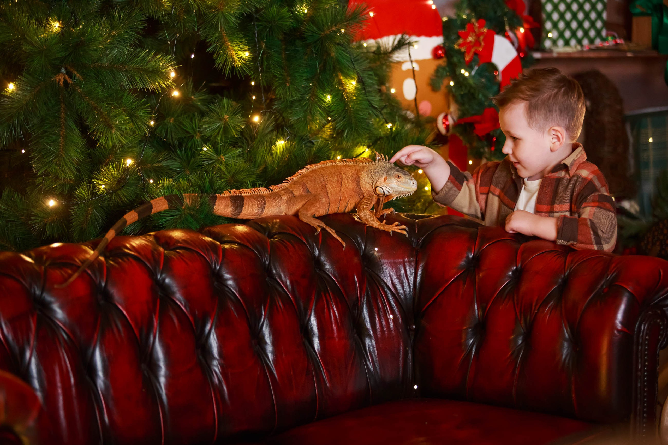 Фотосессия с игуаной символ года Дракона. Семейный и детский фотограф в Москве Мария Быкова