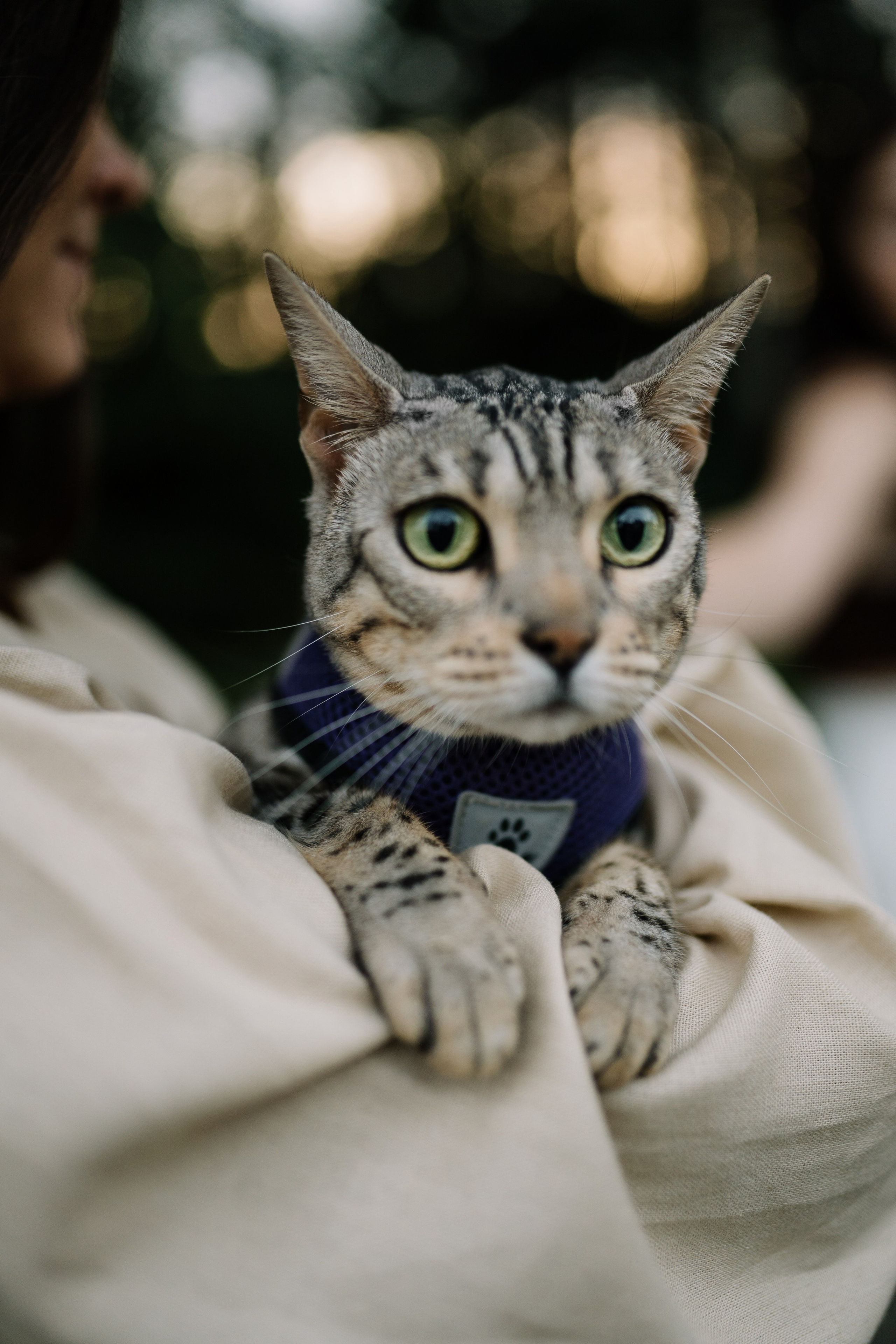 Диана и Элис