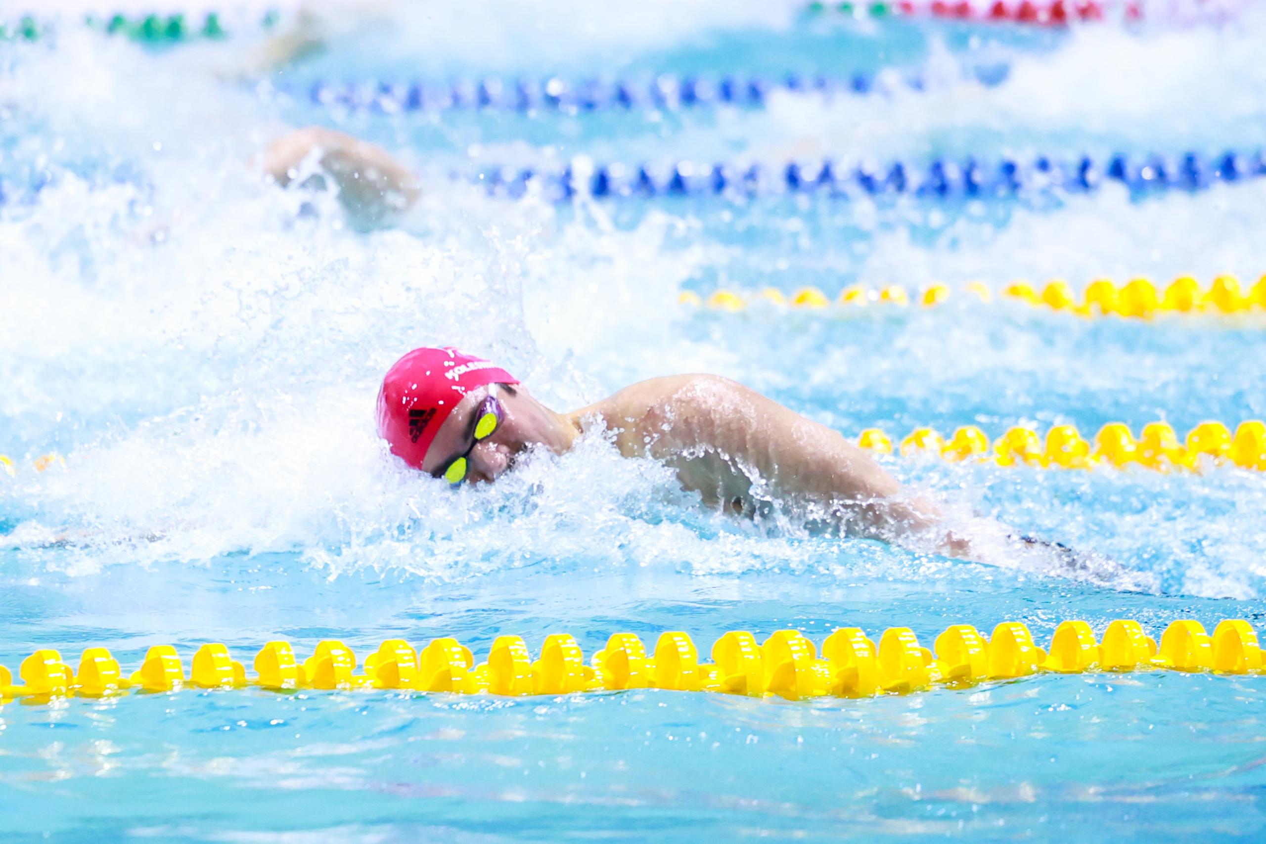 Чемпионат России по плаванию 25 м 21-26.11.2024. Спортивный и репортажный фотограф Антон Тереханов