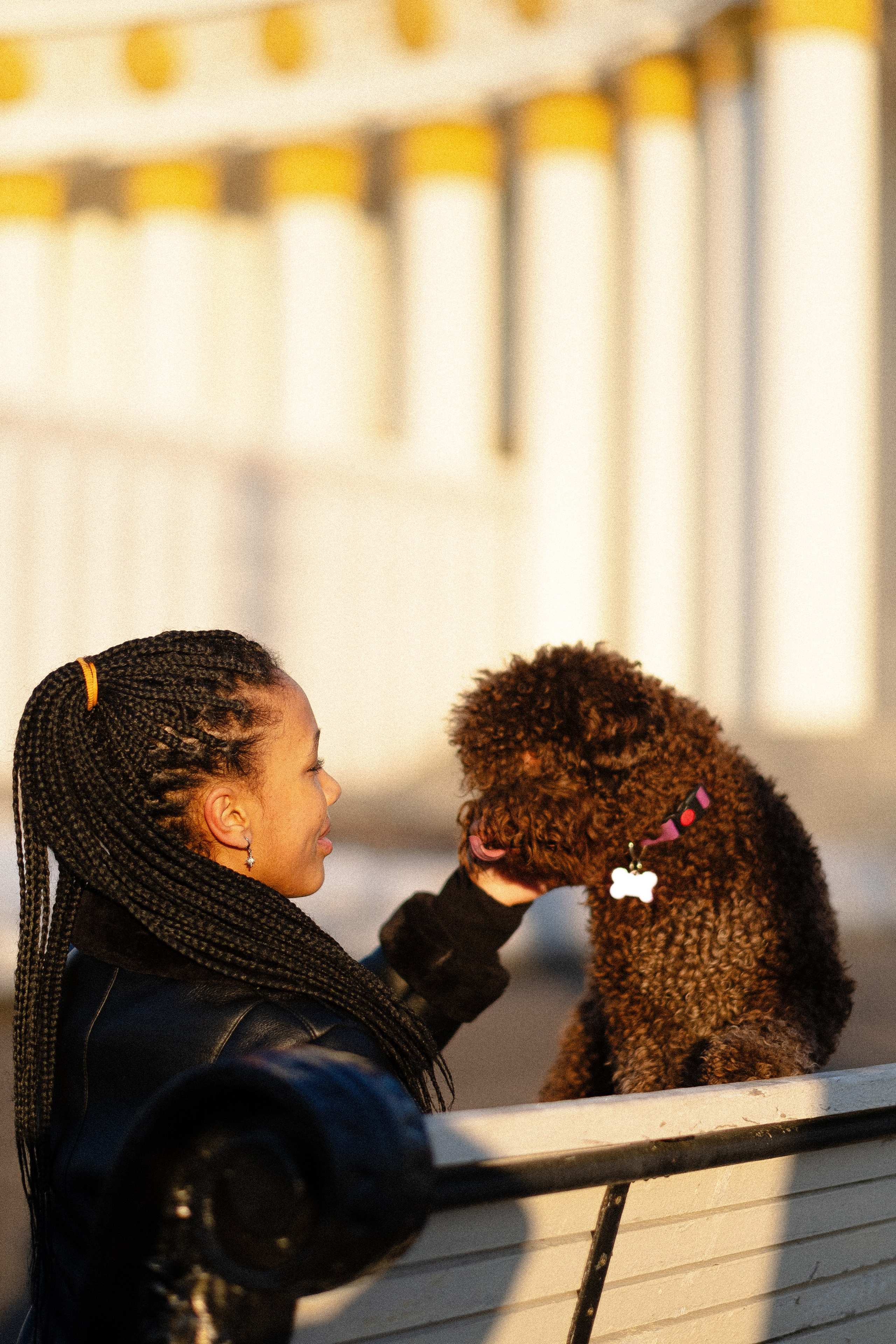 Тьеринна и Миша. Фотограф и видеограф анималист Аганина Дарья