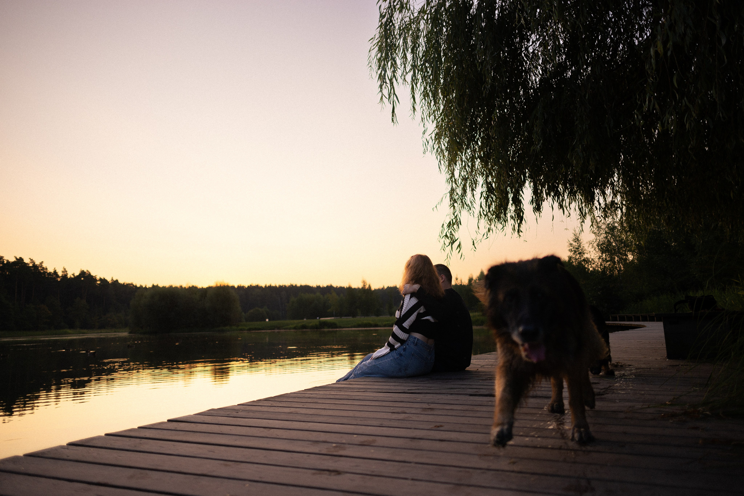 Алена, Матвей, Фанни и Фрея. Фотограф и видеограф анималист Аганина Дарья