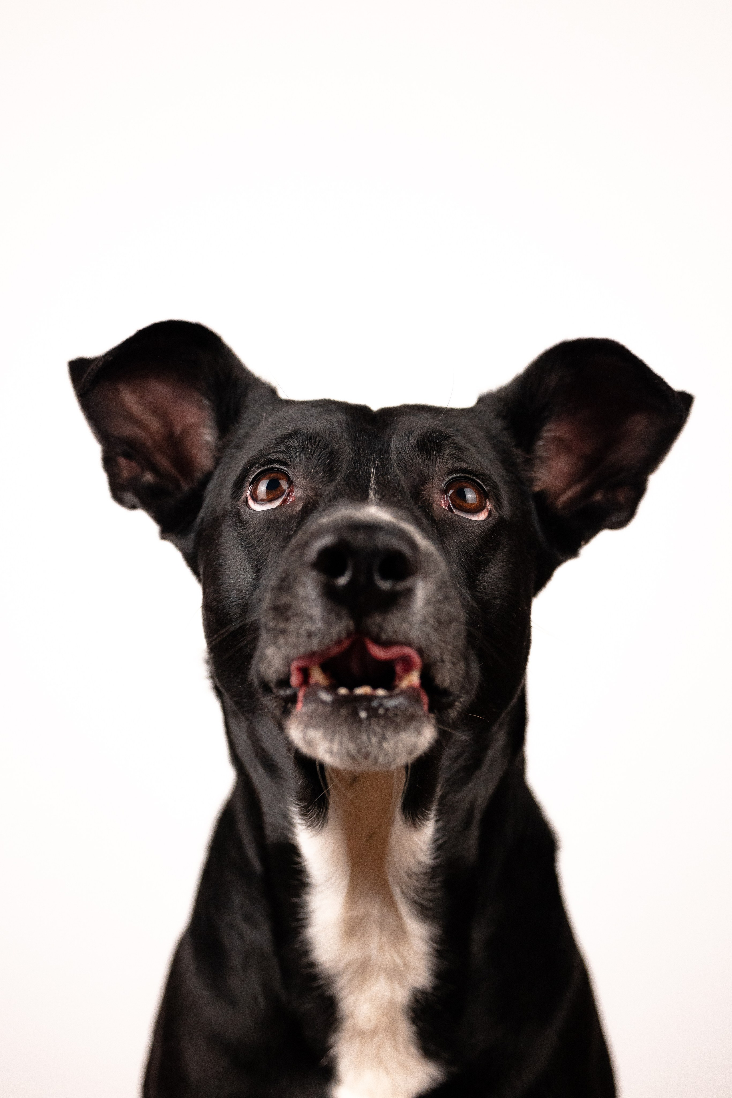 Фотограф и видеограф анималист Аганина Дарья