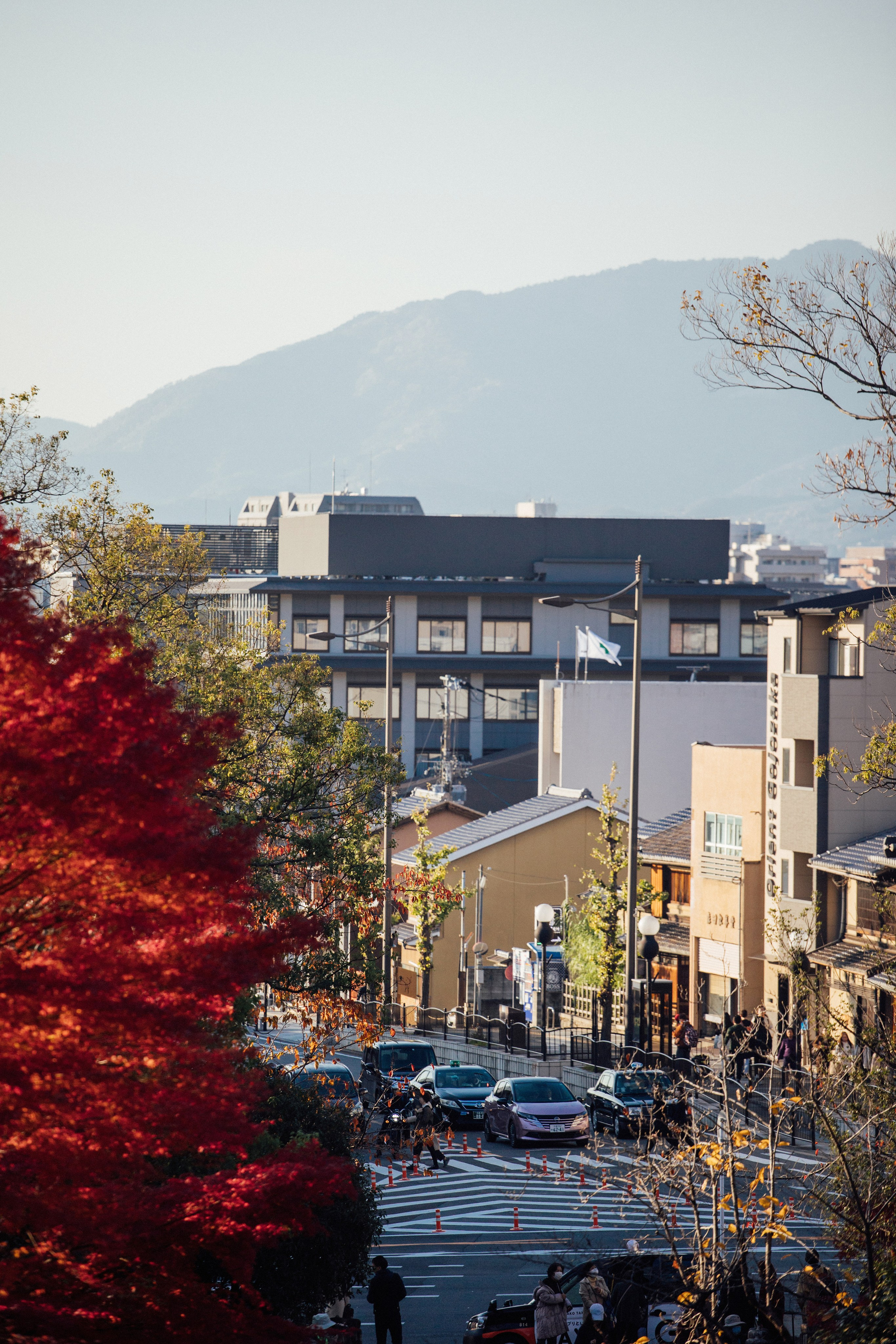 Япония. Главная