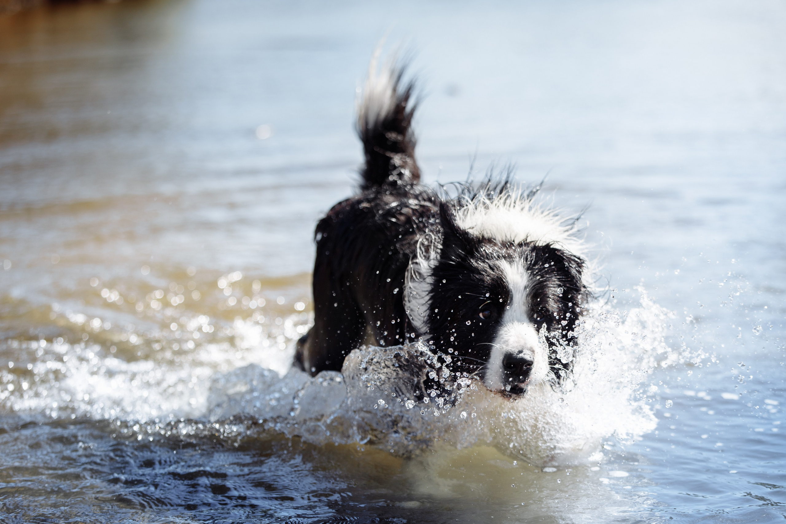 Водяные в Новотроицке. О нас