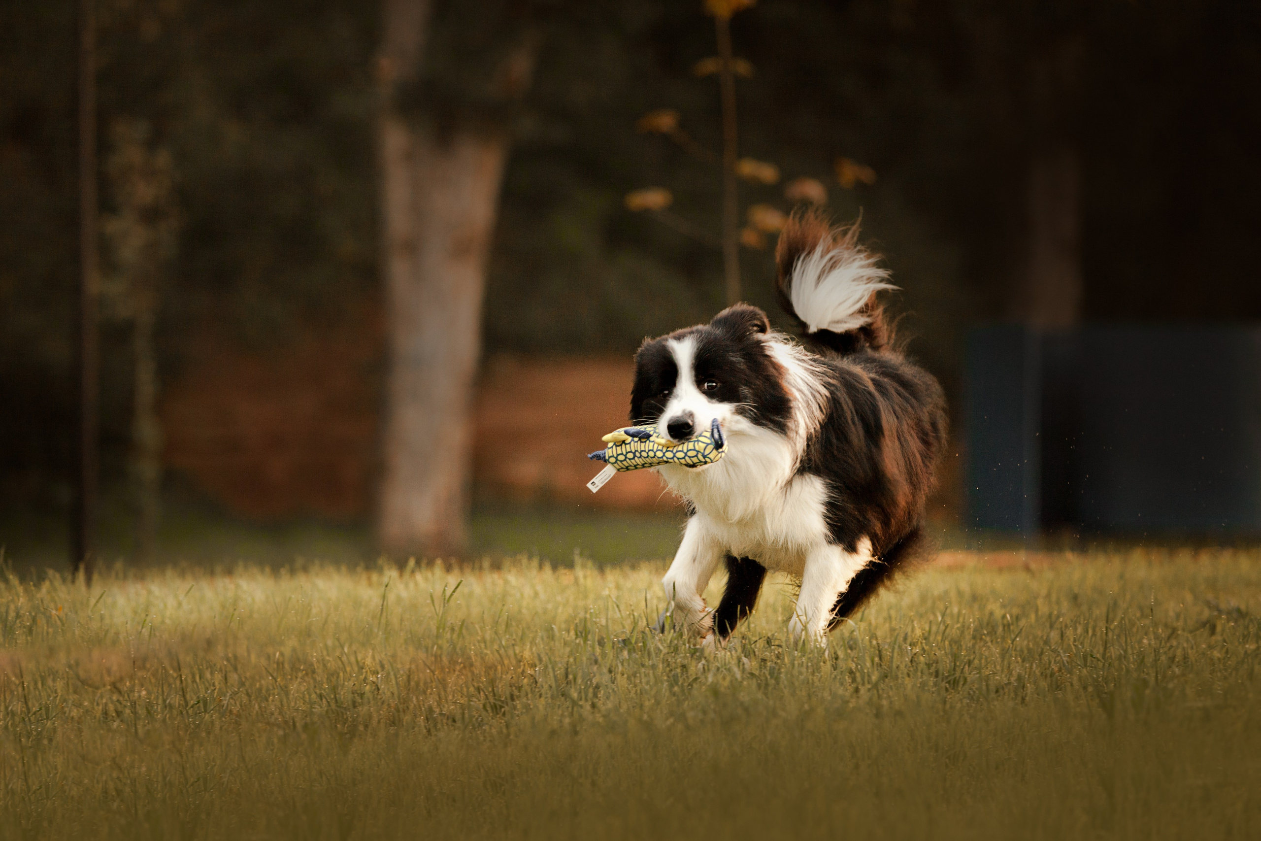 Сочный рассвет, на который решились. О нас