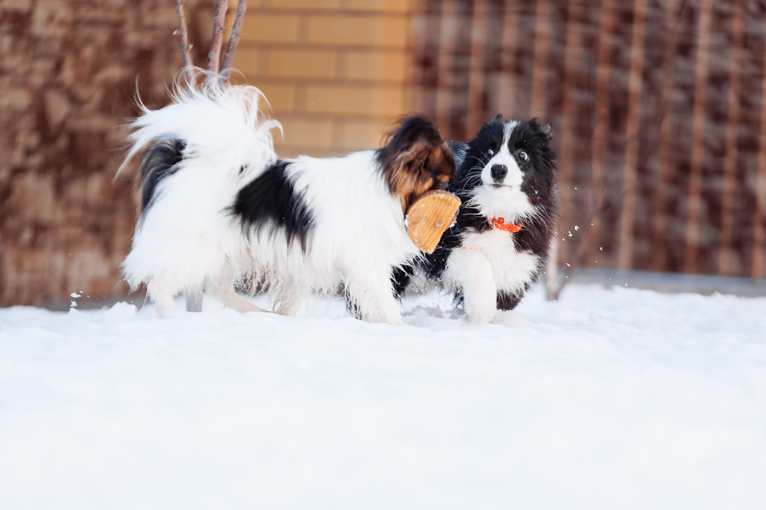 Пока таяло. О нас
