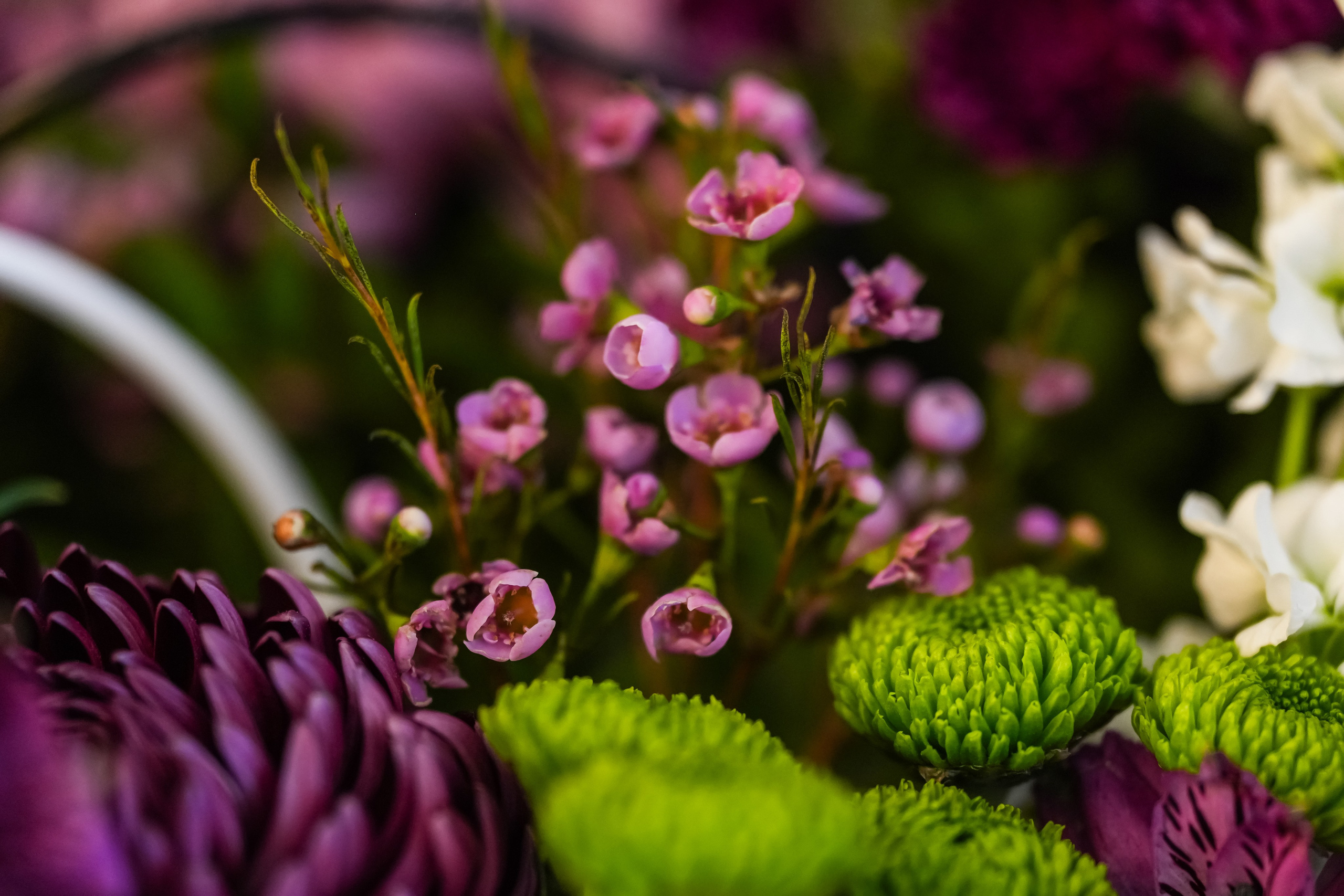 Роскомнадзор | Radisson Rosa Khutor. Репортажный фотограф | Роза Хутор Красная Поляна Сочи Сириус