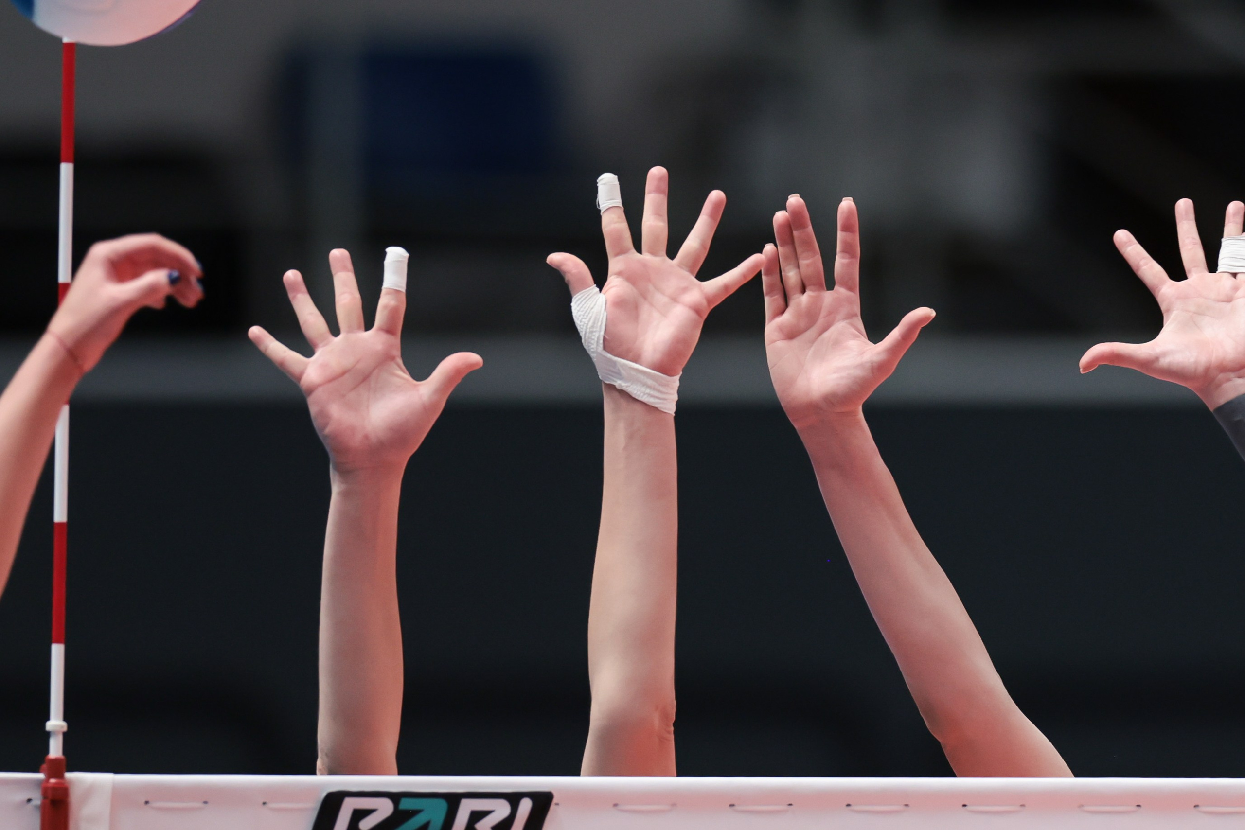 ВК Динамо Ак Барс — ВК Ленинагрдка. Спортивный репортажный фотограф Казань Нафис Сиразетдинов