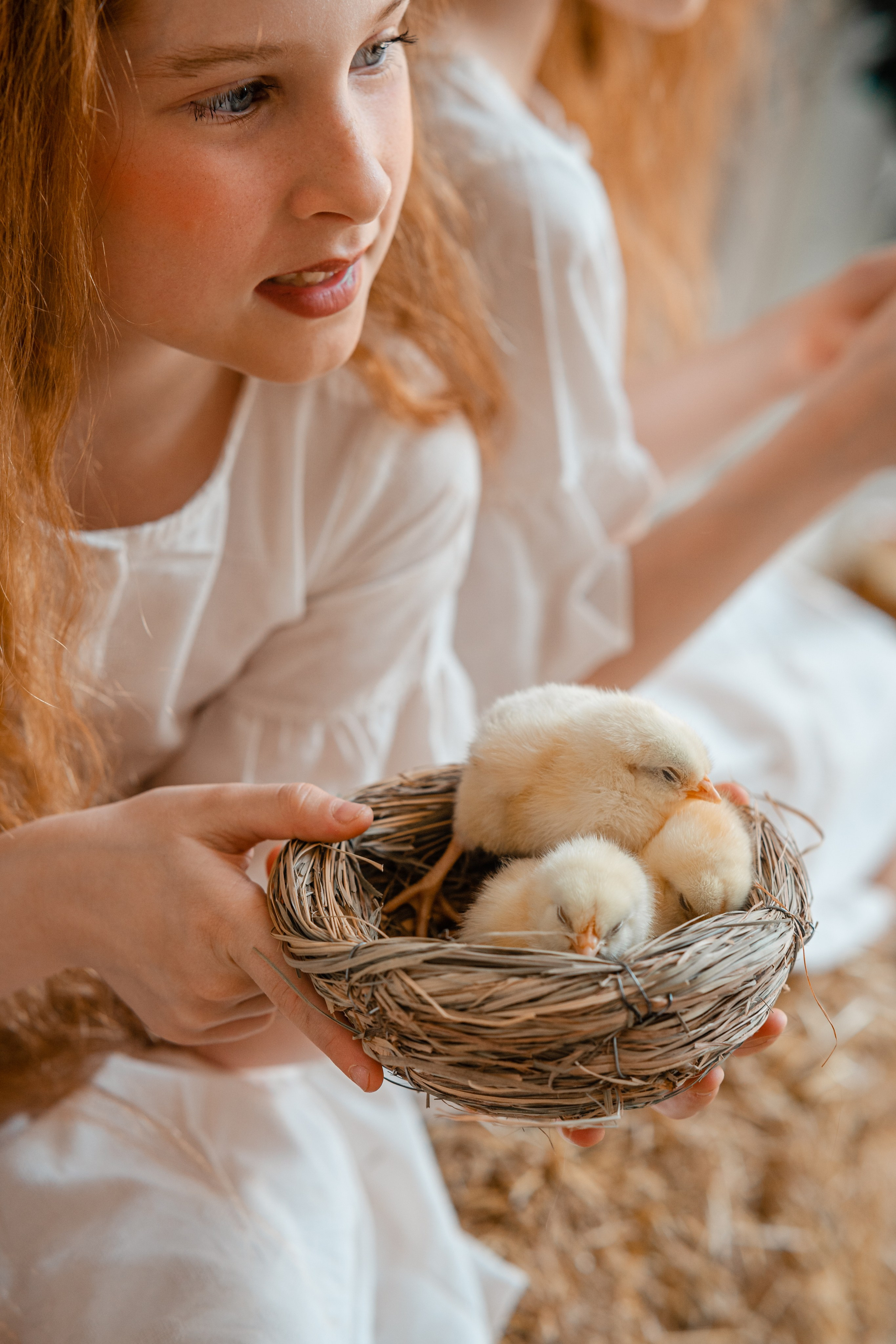 Студия. Фотограф Мария Зайчик