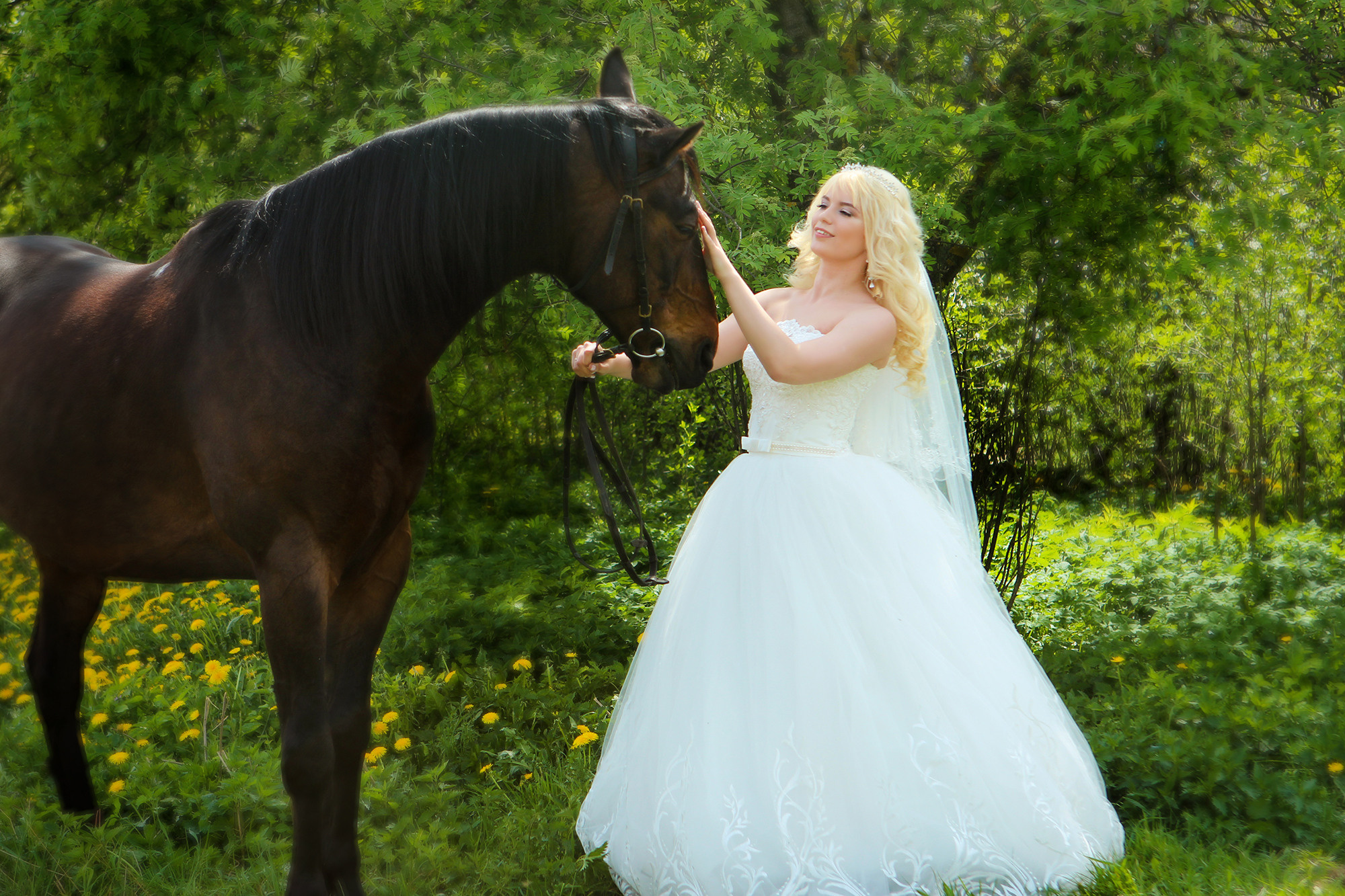 невеста в белом платье гладит черную лошадь