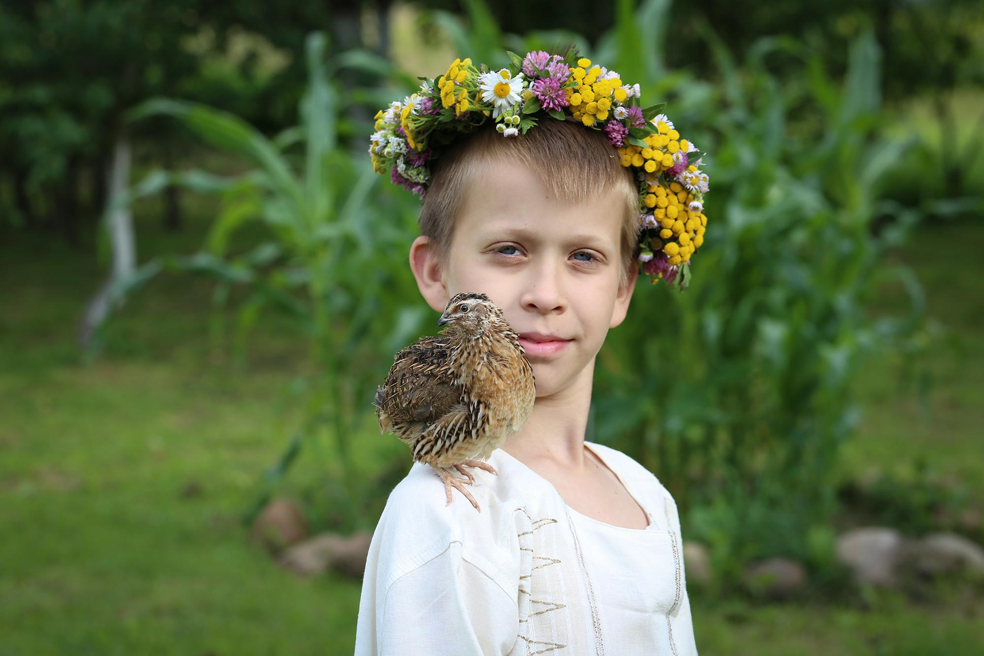 перепелка сидит на плече у мальчика в венке на купалле
