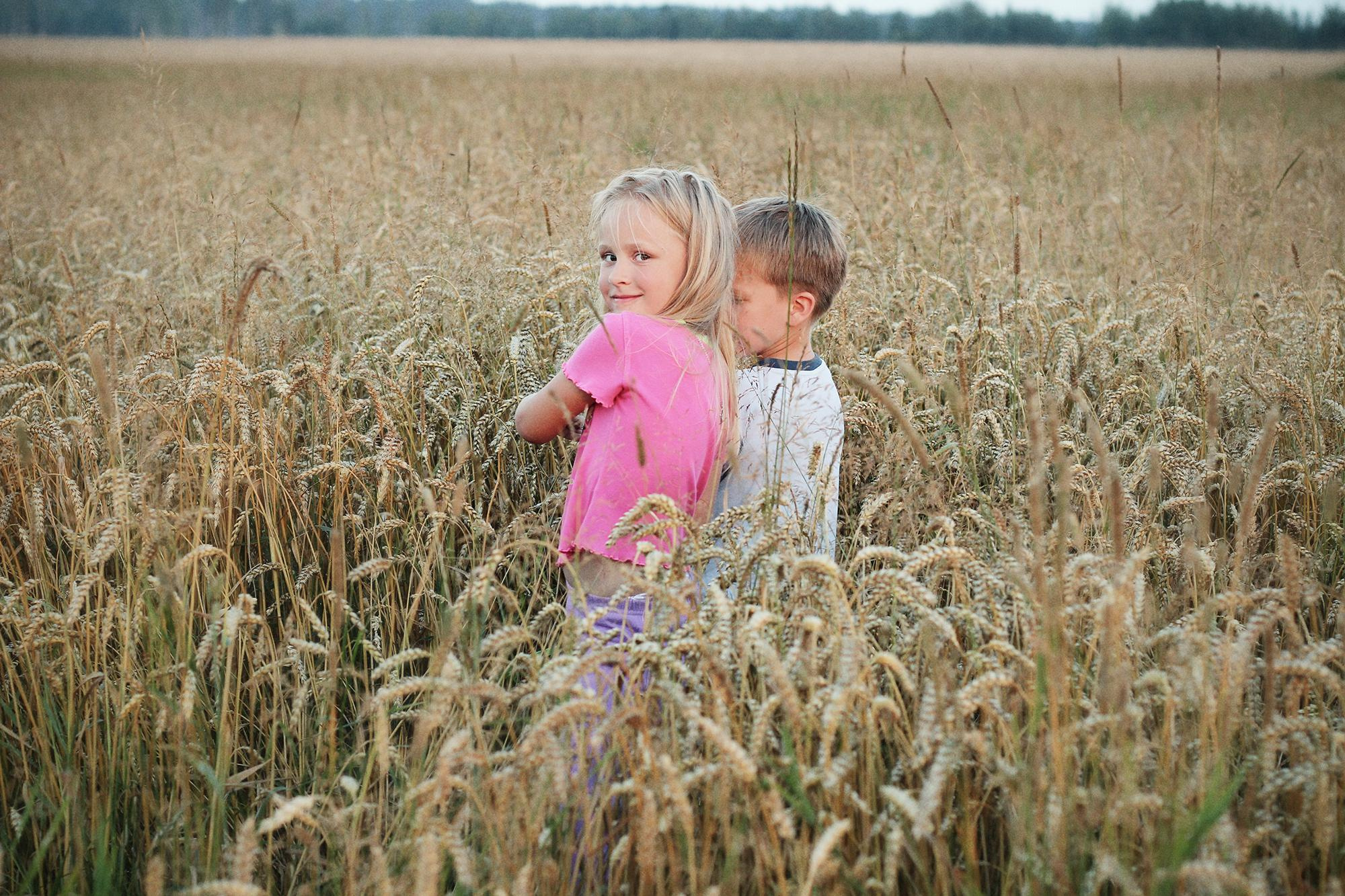 дети что-то прячут в поле