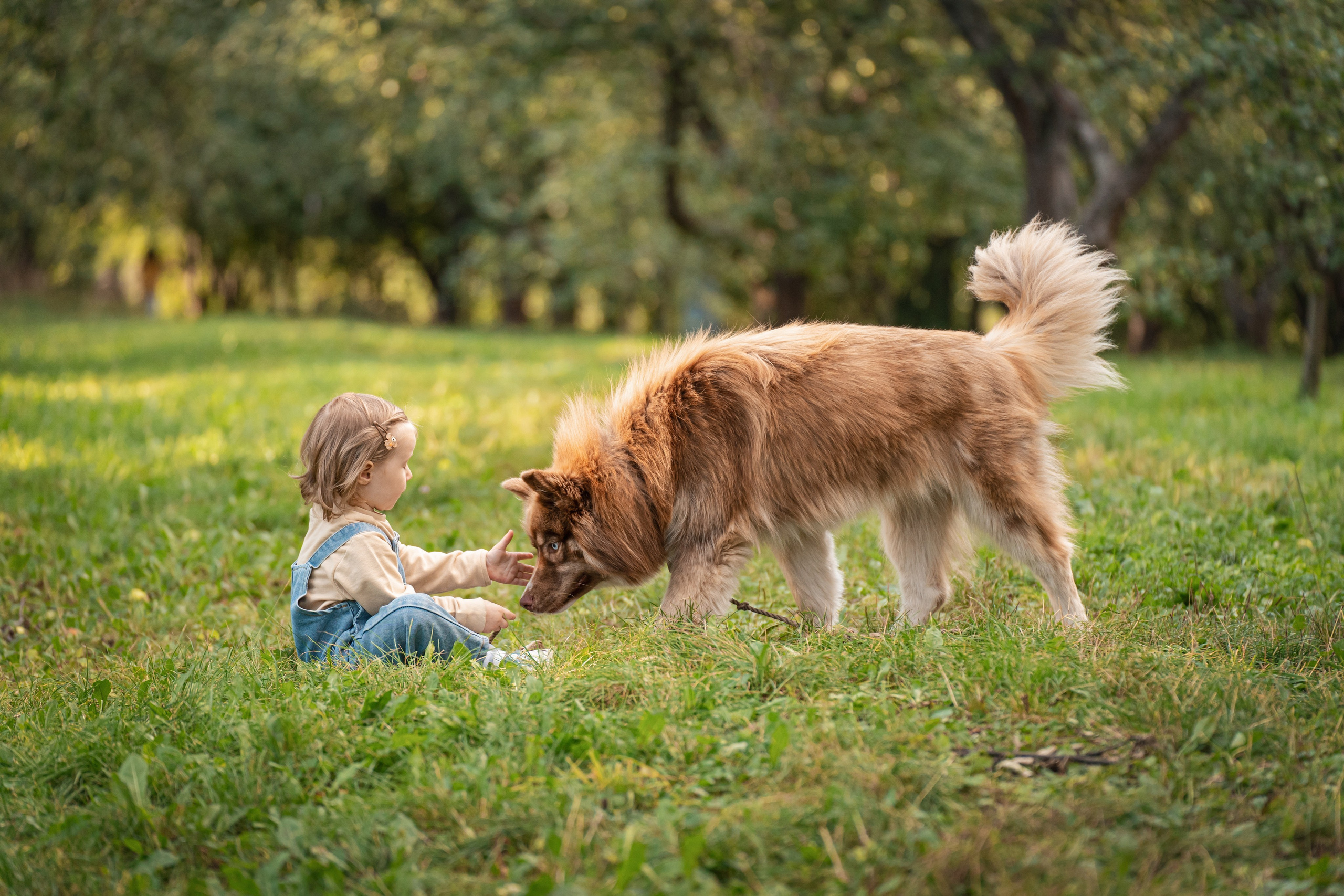 Фотограф в Москве Ленарская Дарья