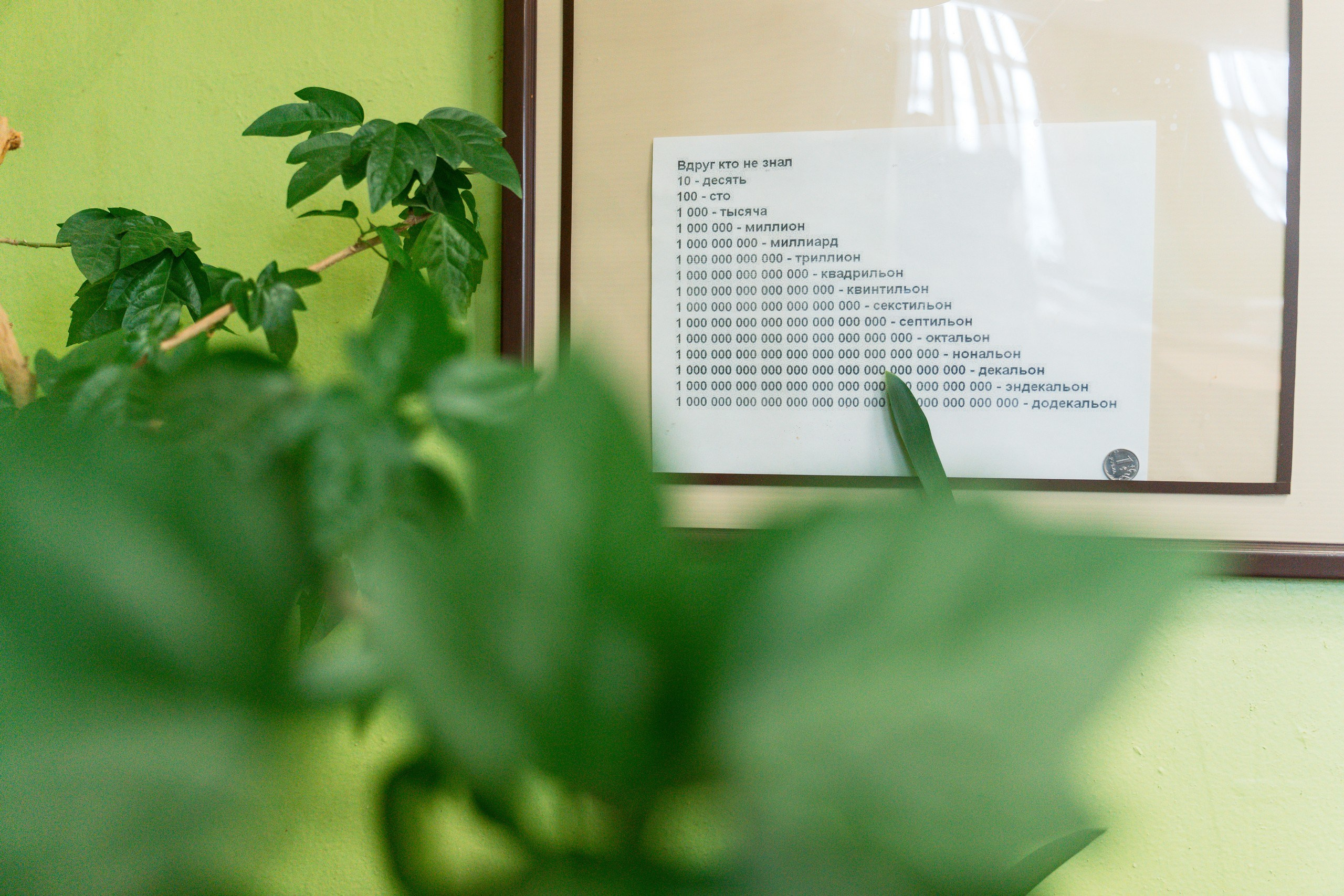 Пятёрка для ребёнка. Репортажная съёмка в Санкт-Петербурге, Константин Петров