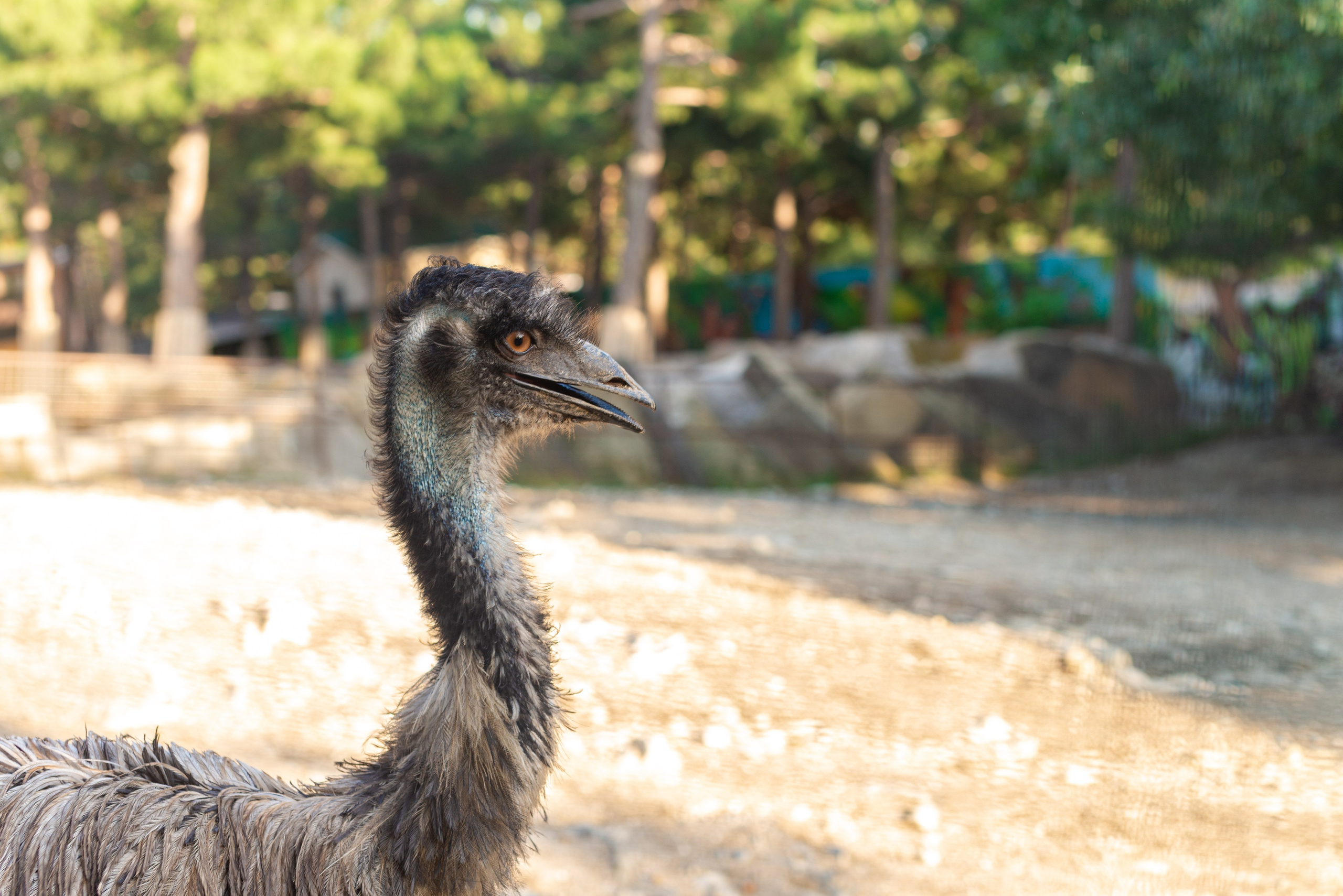 Июнь–Июль Отпуск Белореченск, Геленджик. Семейный, Свадебный фотограф СПБ Питер— Романова Екатерина
