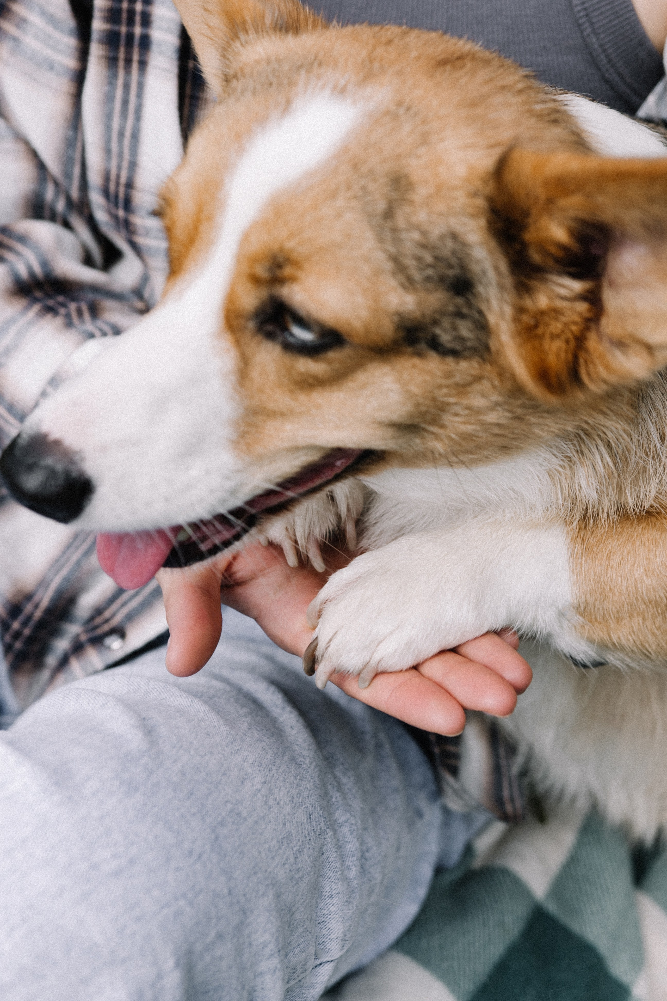 Алина и Тома. Фотограф в Кирове и Кирово-Чепецке Валерия Шиляева