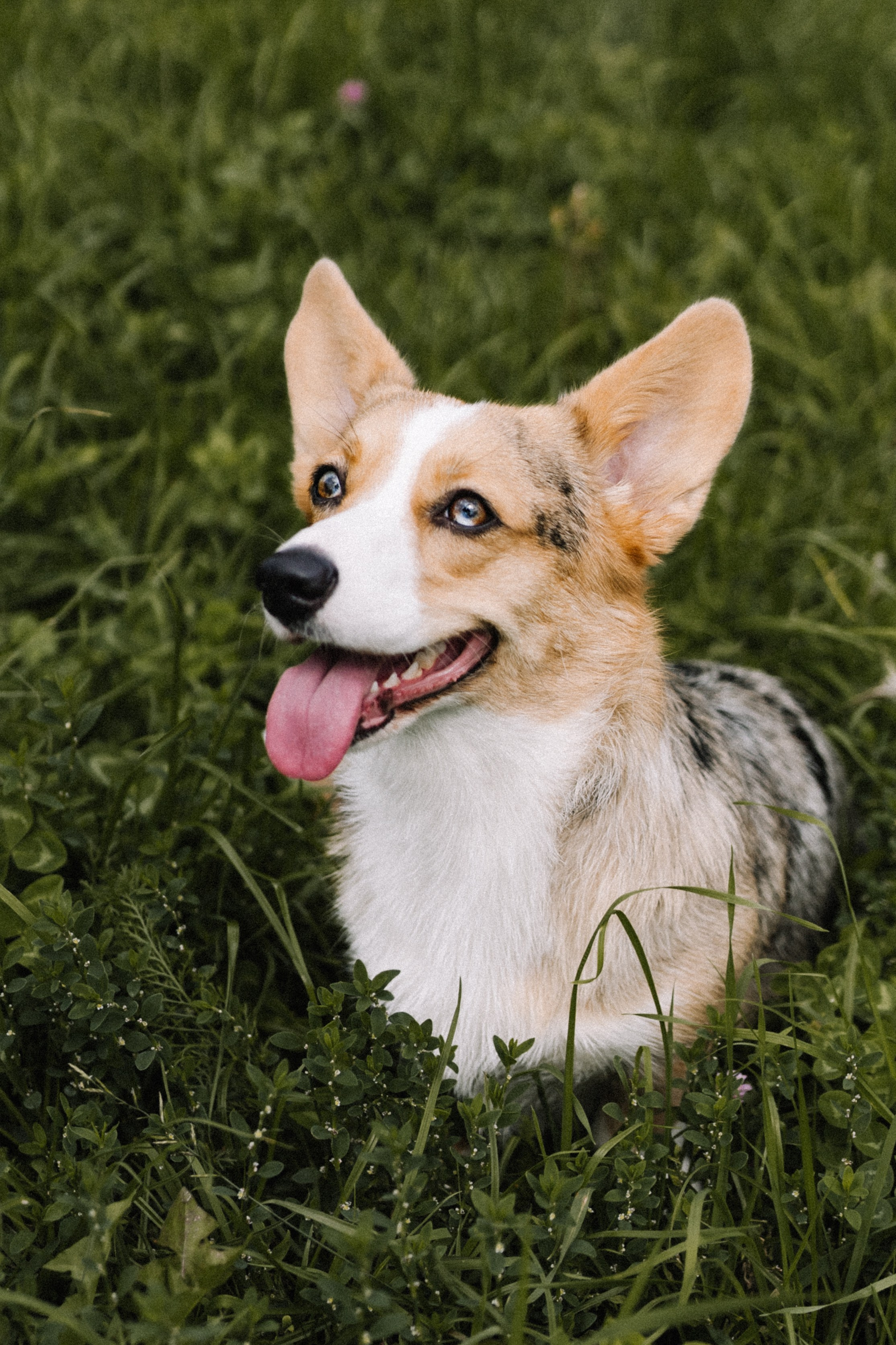 Алина и Тома. Фотограф в Кирове и Кирово-Чепецке Валерия Шиляева