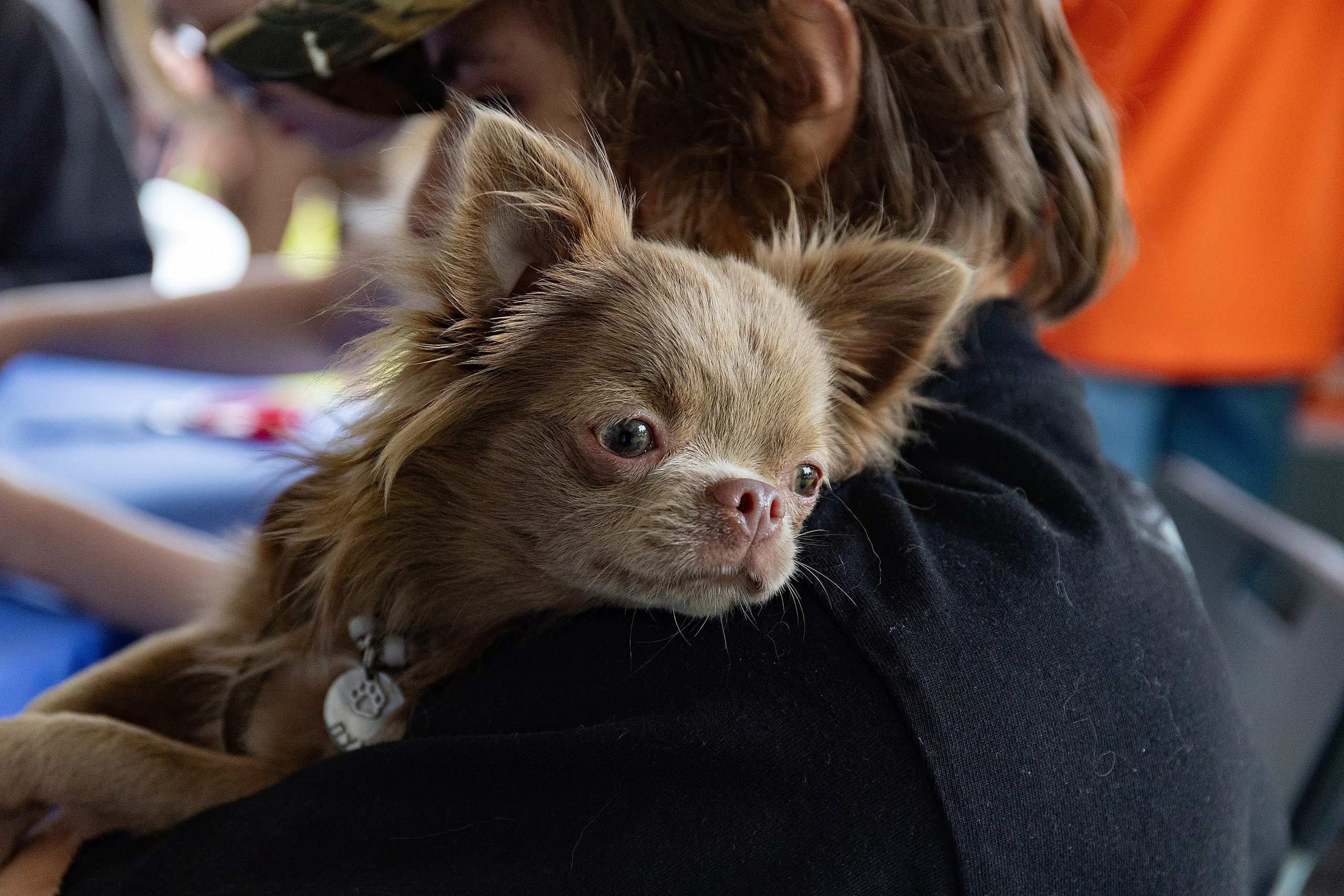 Petshop Days 2026. Репортажный фотограф