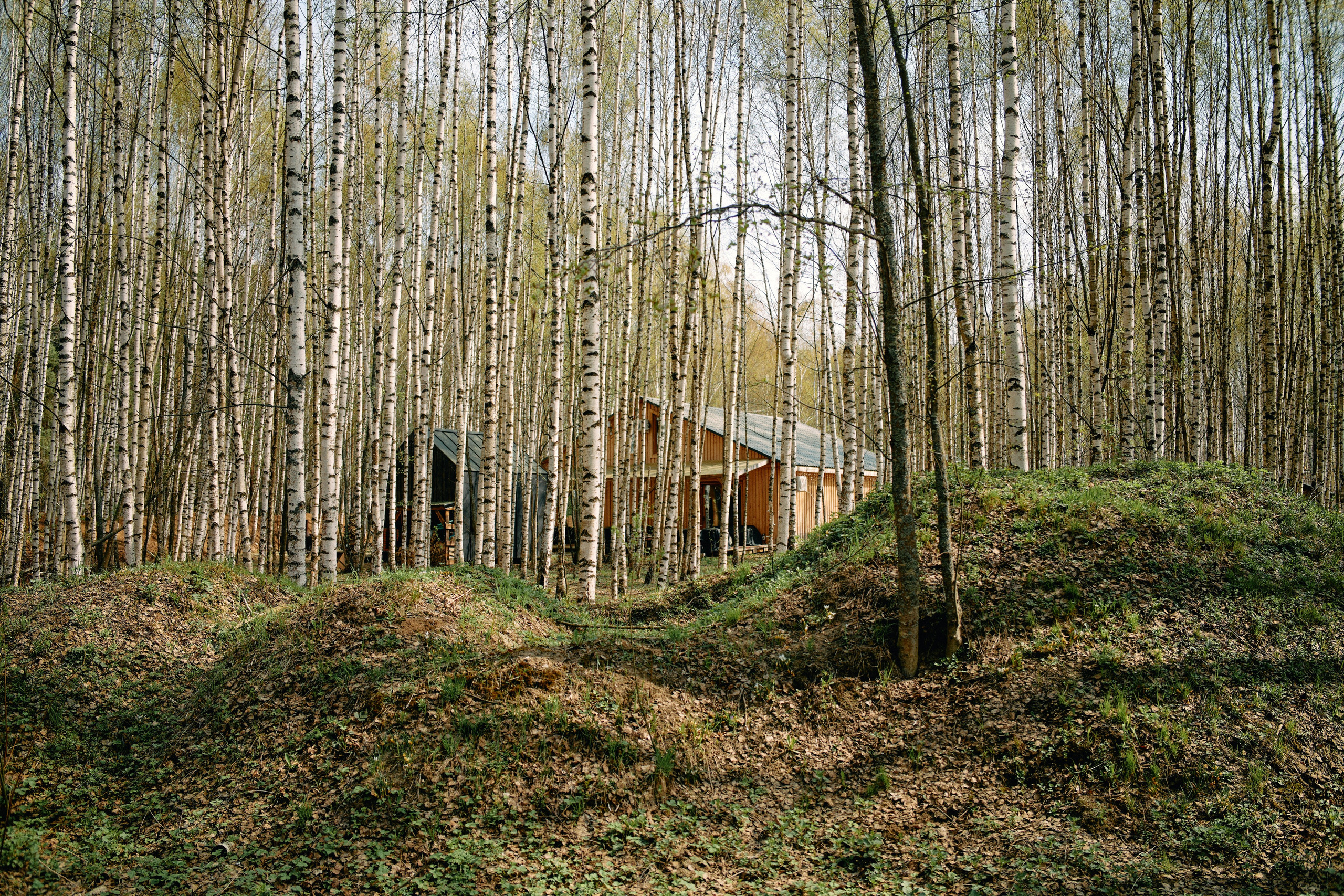 Бутик-отель Поле летом. Профессиональный Фотограф во Владимире, в Москве и в Суздале — Полина Романычева